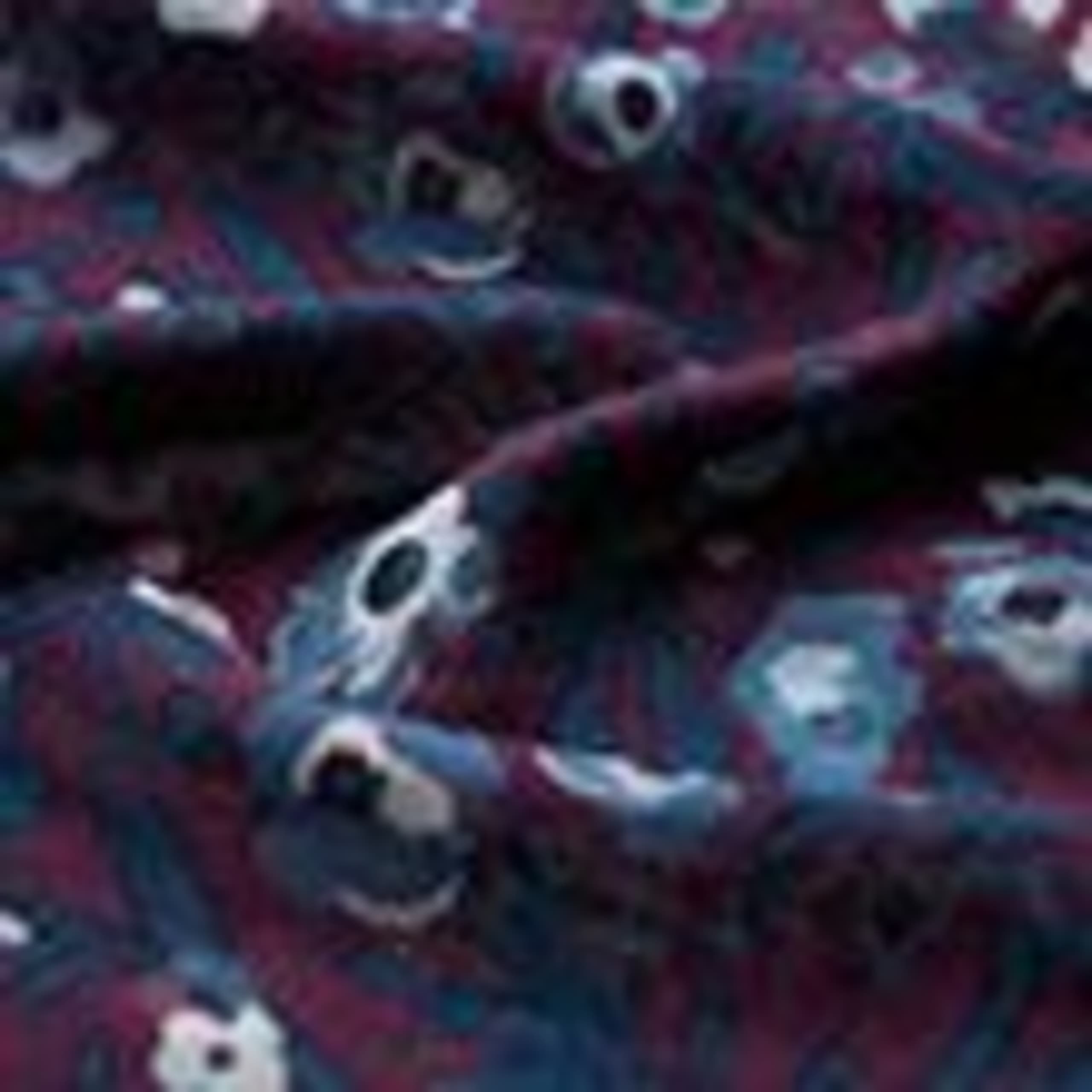 Pure Wool Ditsy Floral Circular Scarf 6 of 6