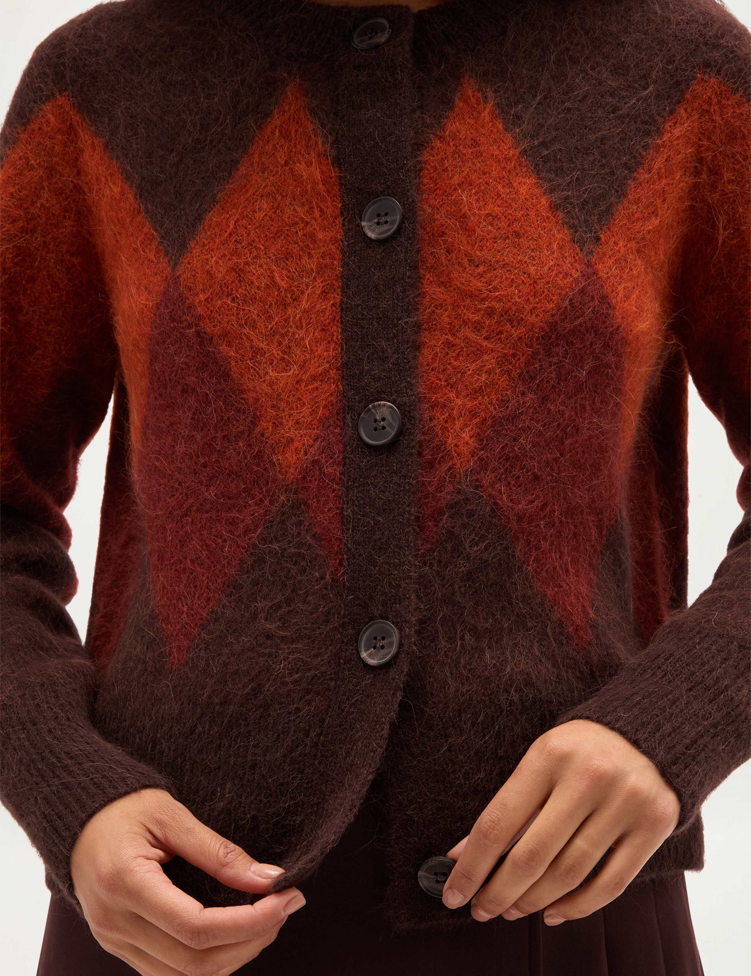 Argyle Cardigan with Alpaca & Wool 6 of 7