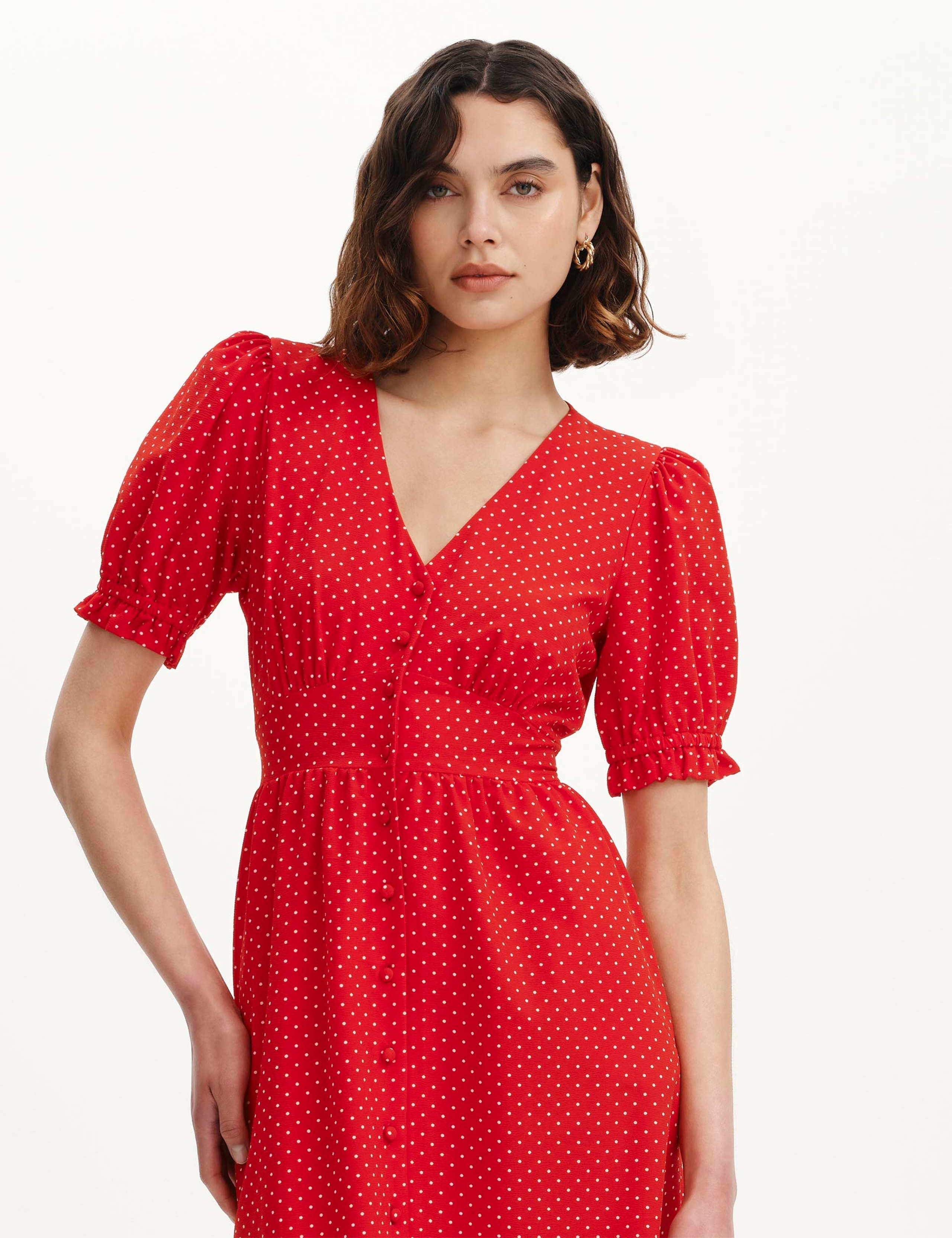 Printed V-Neck Midi Tea Dress 6 of 6