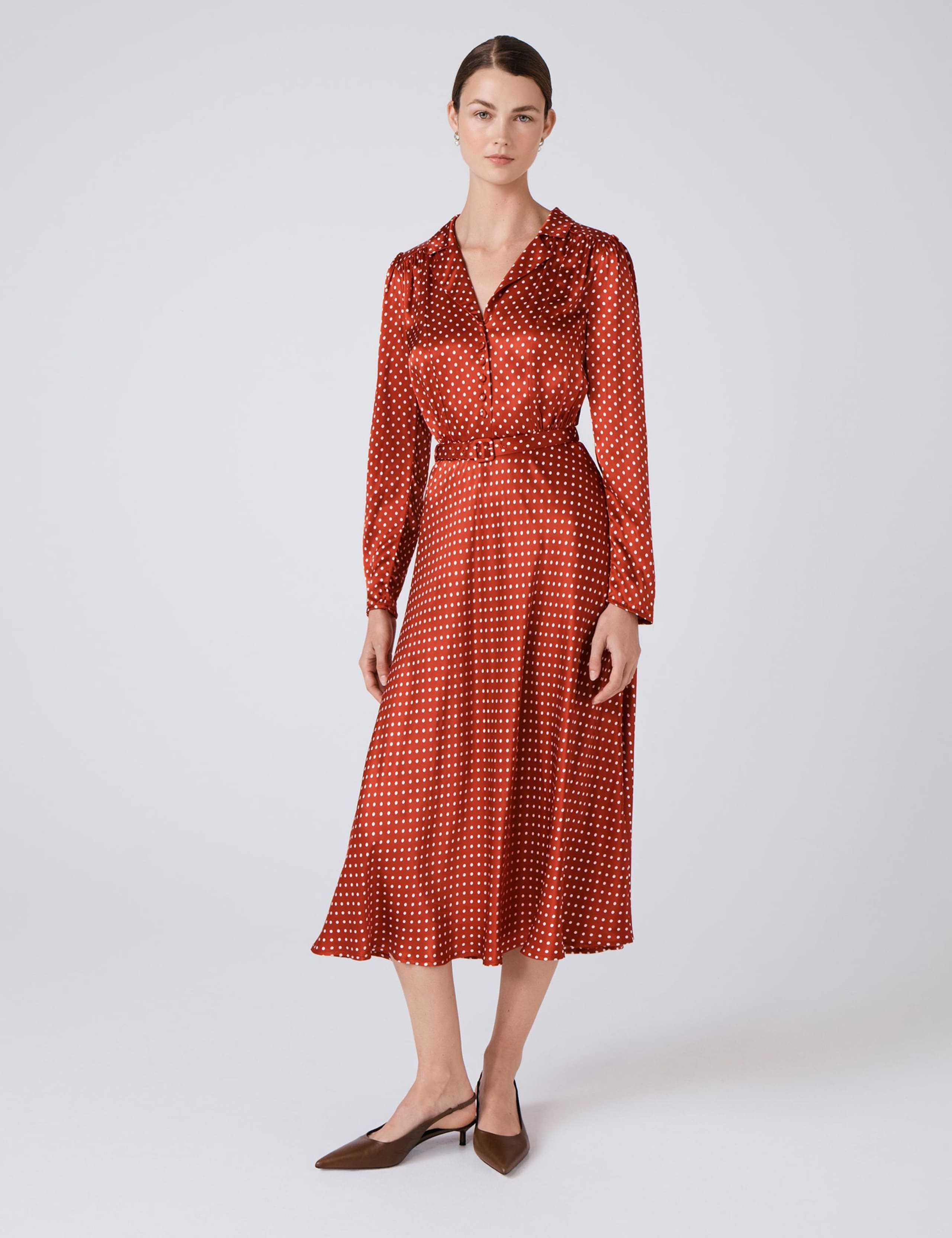 Polka Dot Collared Midi Tea Dress 4 of 6