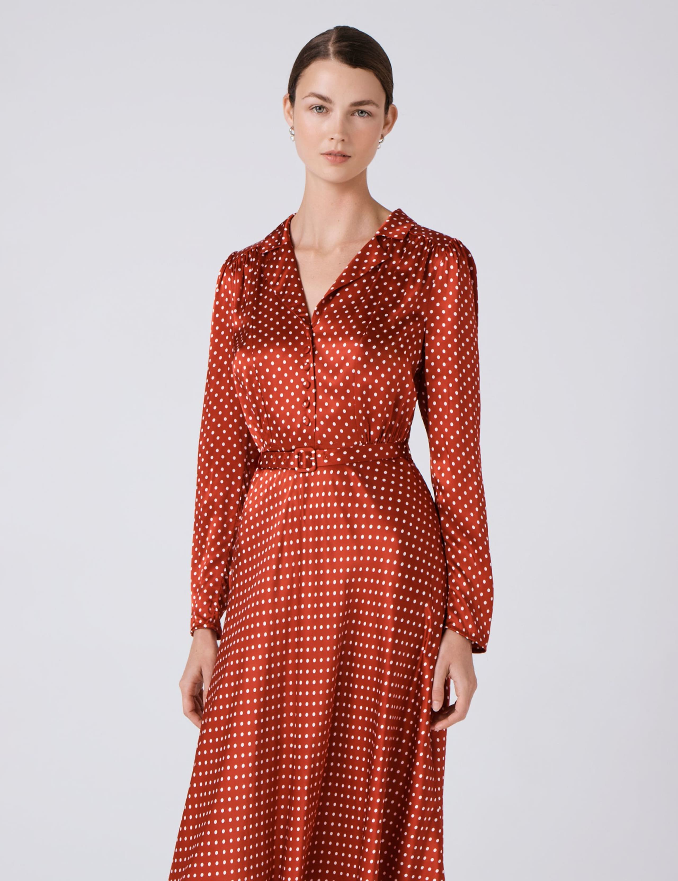Polka Dot Collared Midi Tea Dress 5 of 6