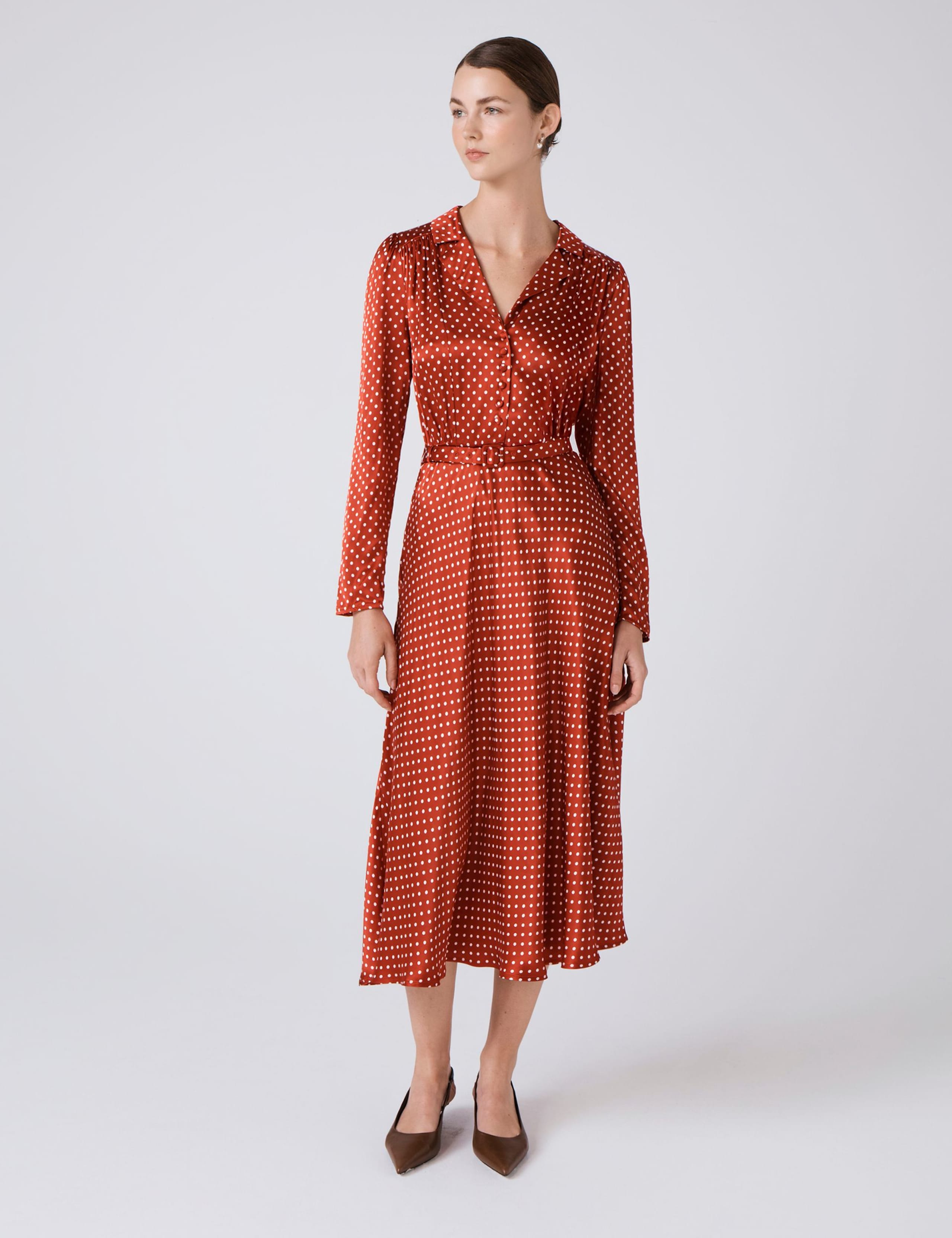 Polka Dot Collared Midi Tea Dress 6 of 6