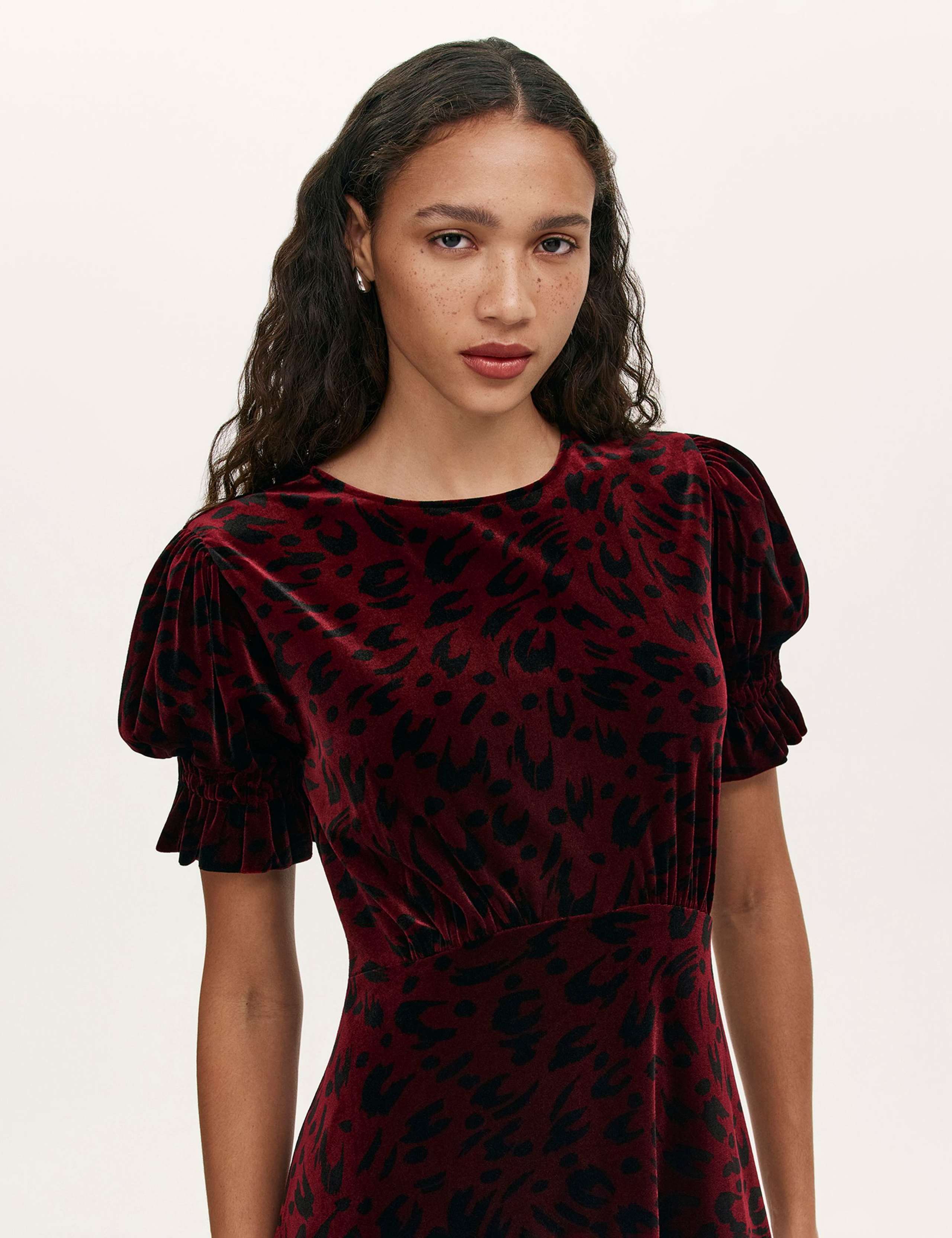 Velvet Leopard Print Round Neck Midi Tea Dress 4 of 4