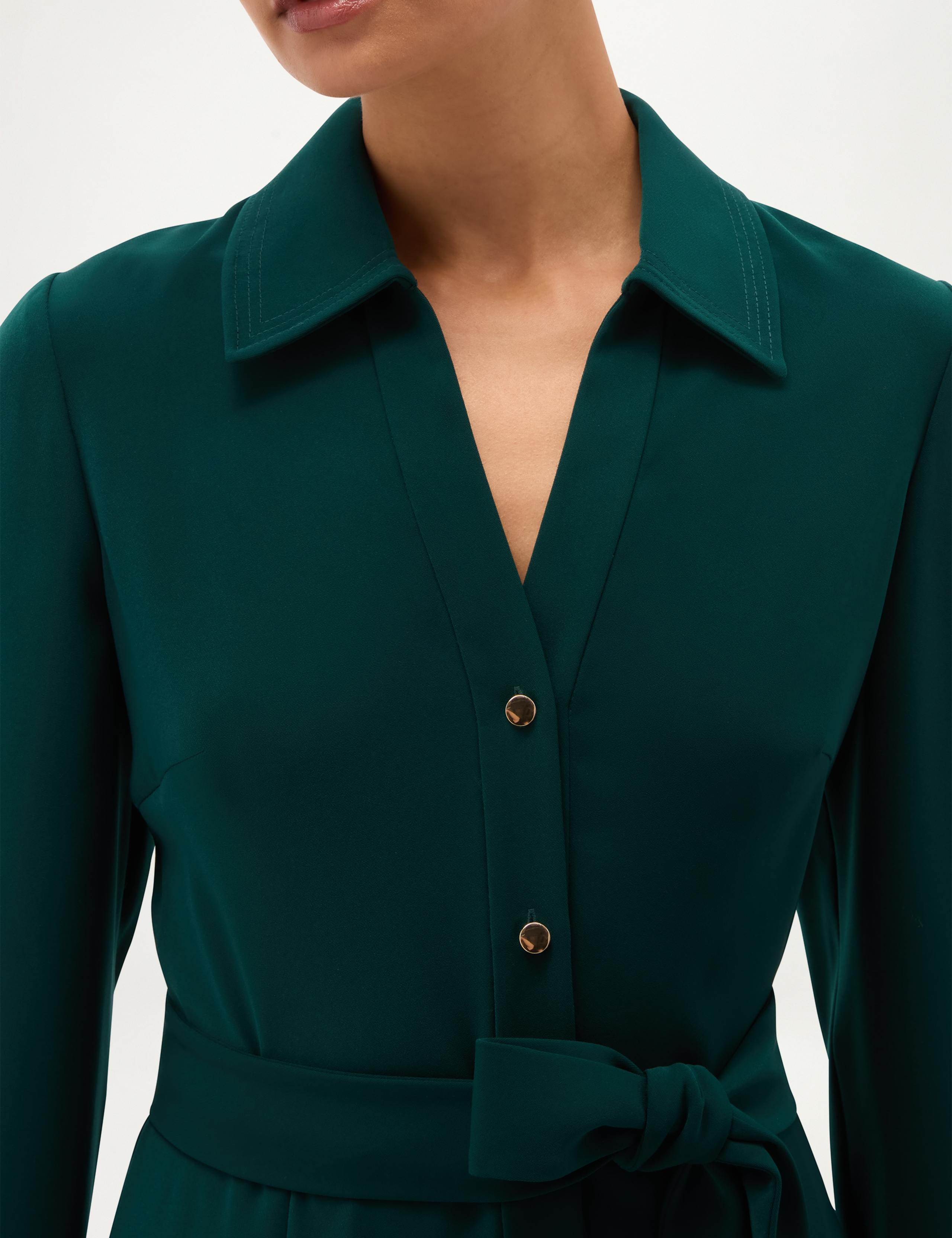 Collared Button Through Knee Length Skater Dress 6 of 7