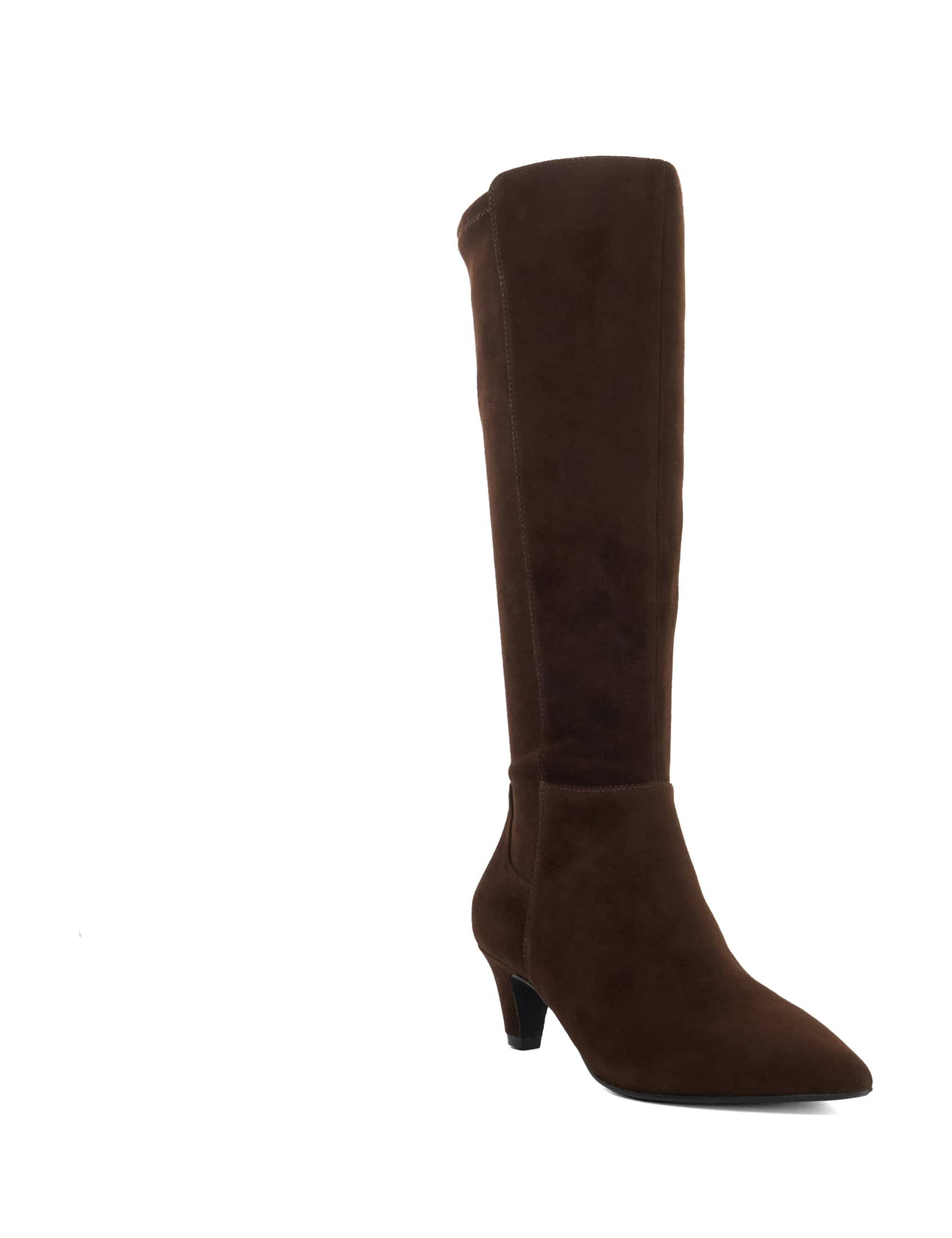 Sera Suede Pointed Toe Knee High Boots 2 of 5