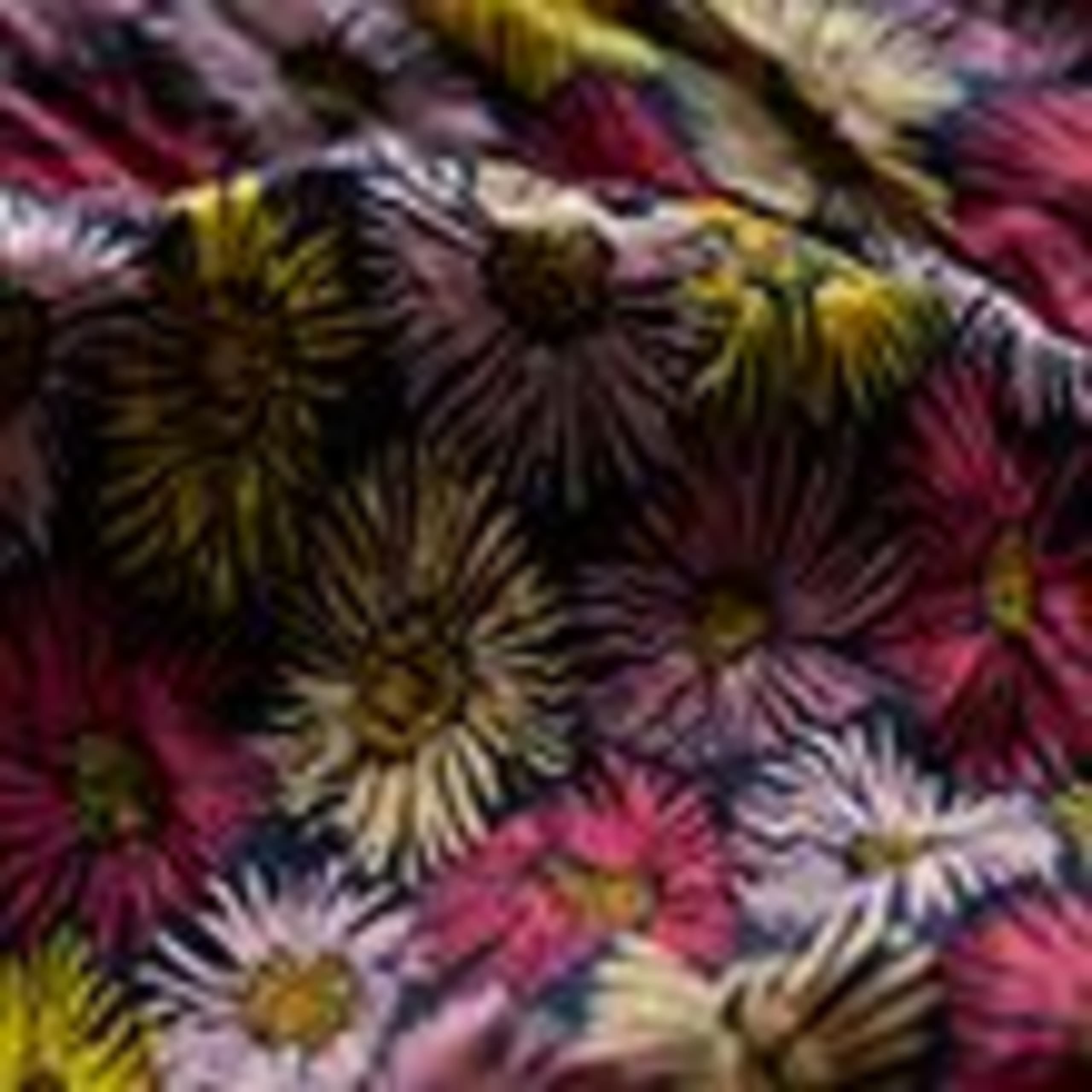 Pure Cotton Printed Floral Scarf 5 of 5