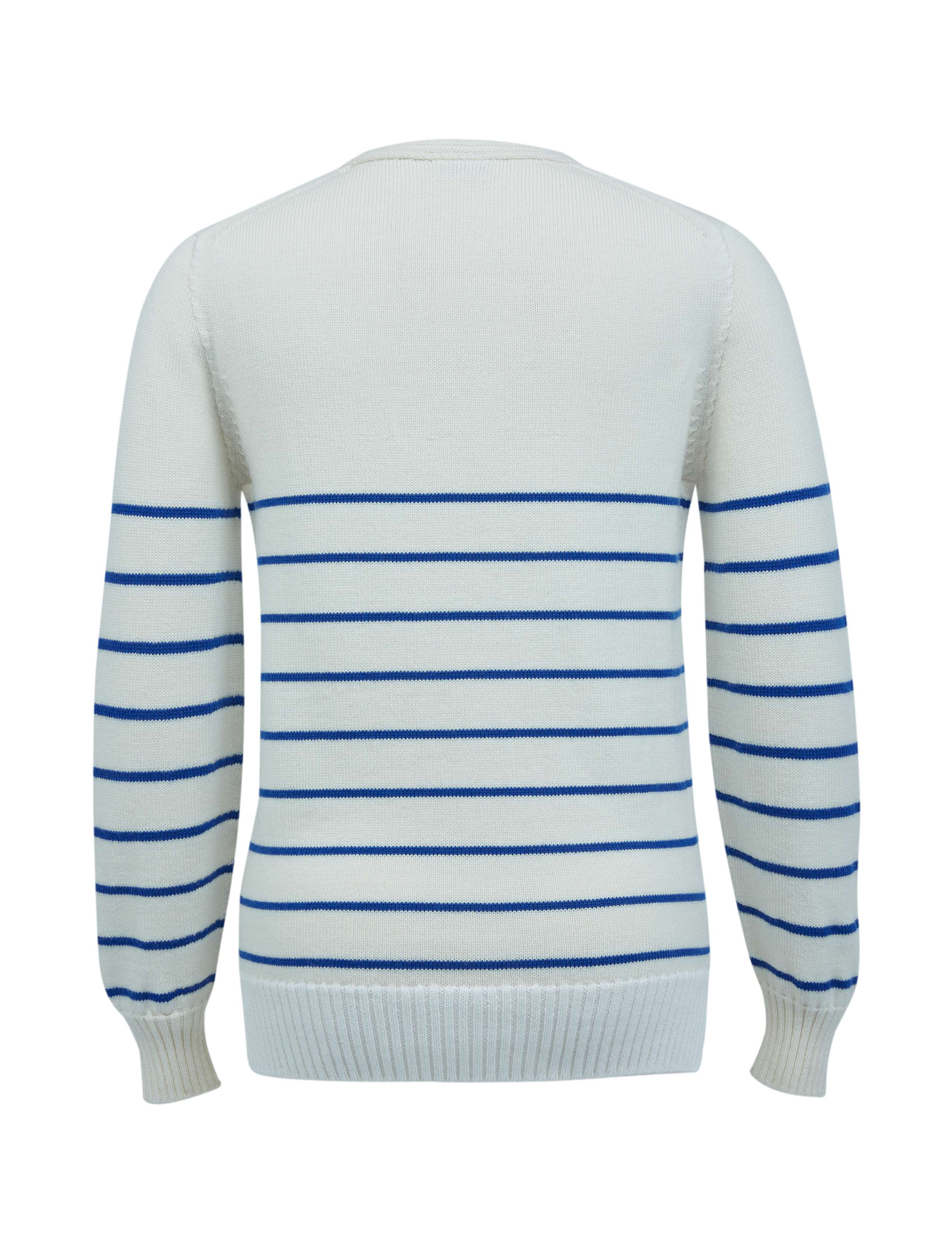 Pure Merino Wool Striped V-Neck Jumper 4 of 6