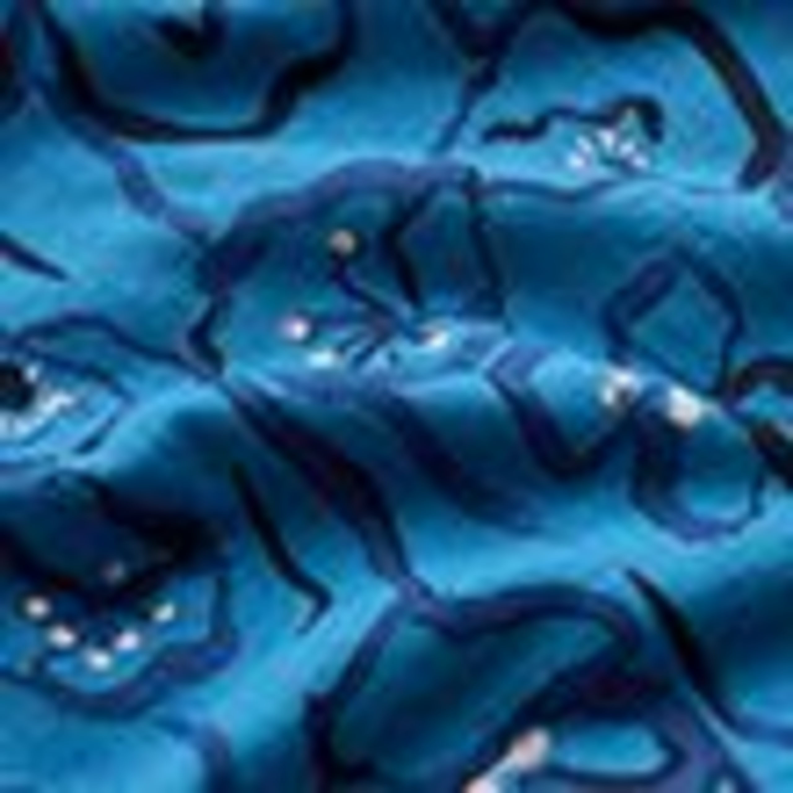 Cotton Modal Blend Floral Top 5 of 5