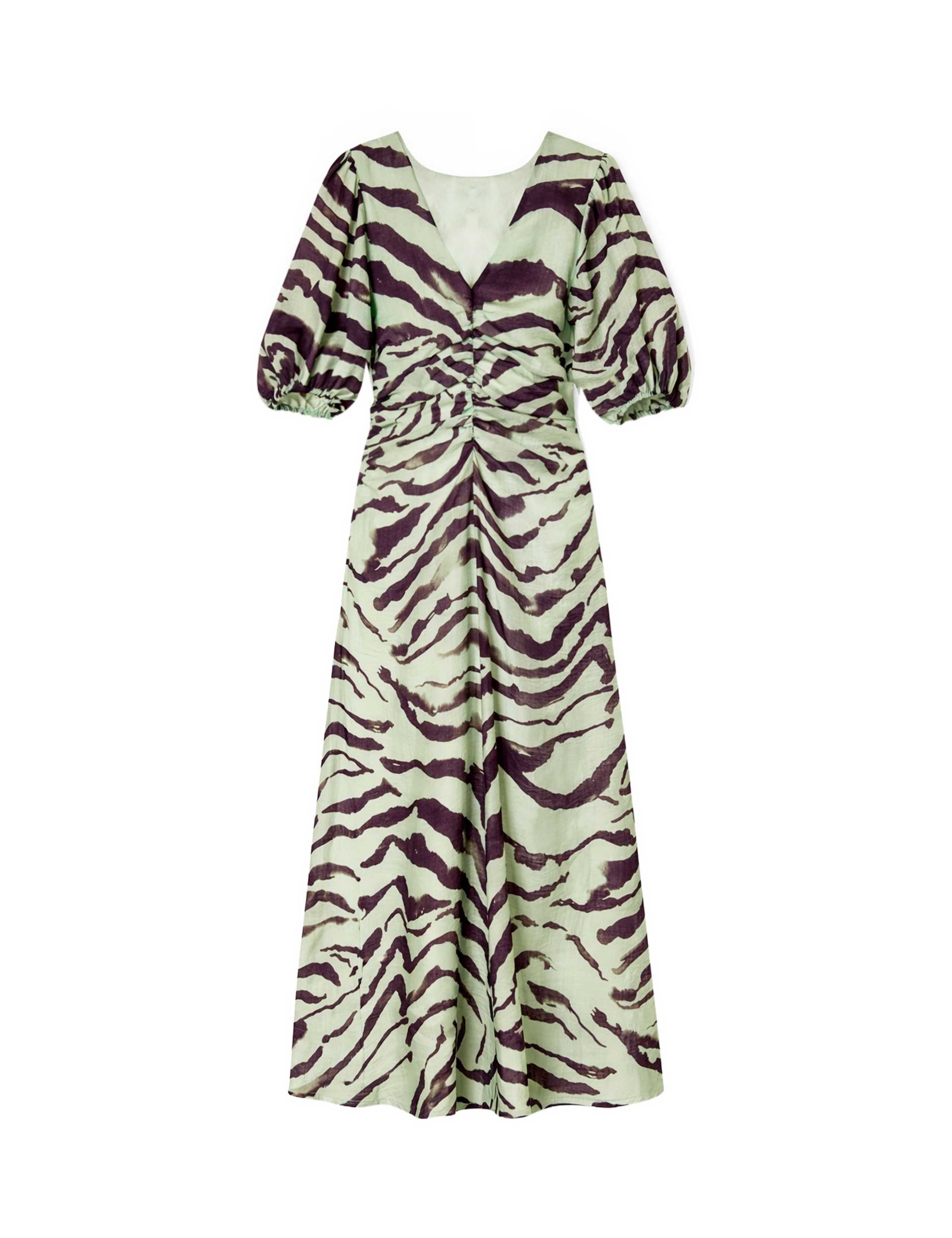Lyocell Rich Animal Print Midaxi Waisted Dress 2 of 3
