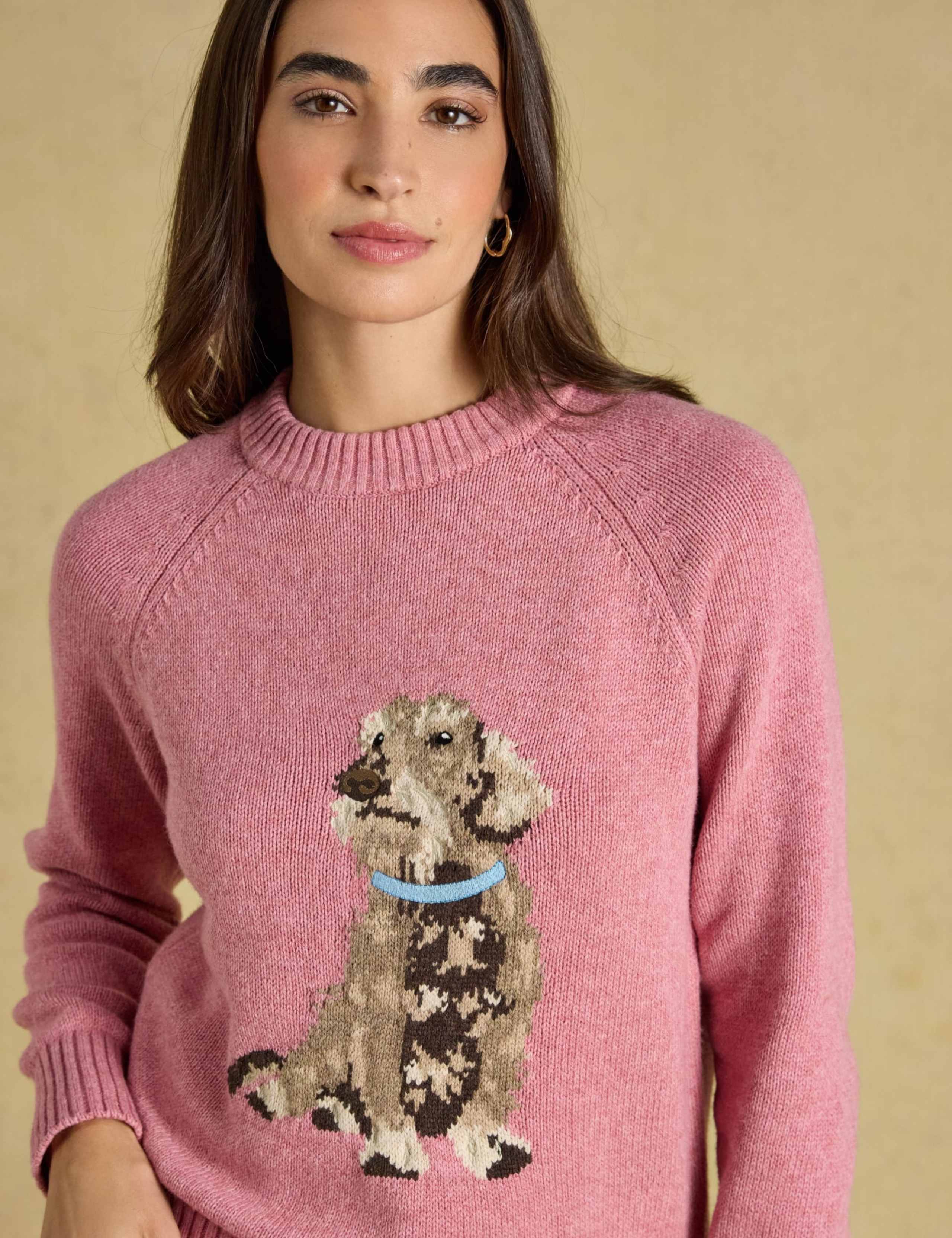 Cotton Rich Dachshund Intarsia Jumper with Wool 4 of 7