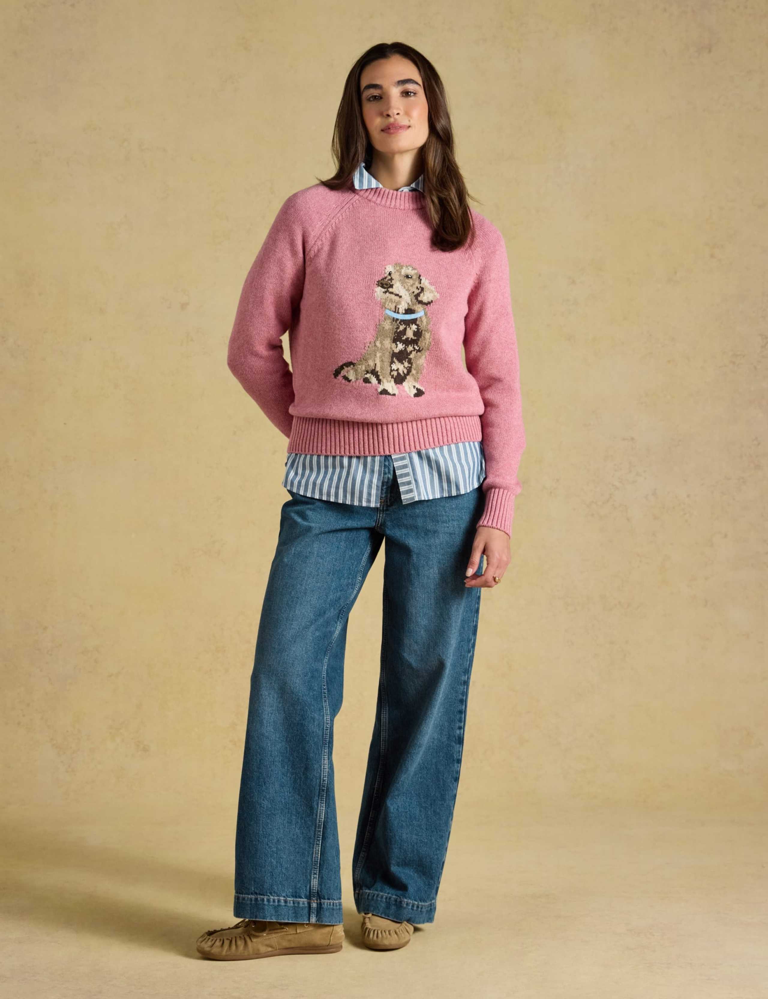 Cotton Rich Dachshund Intarsia Jumper with Wool 5 of 7