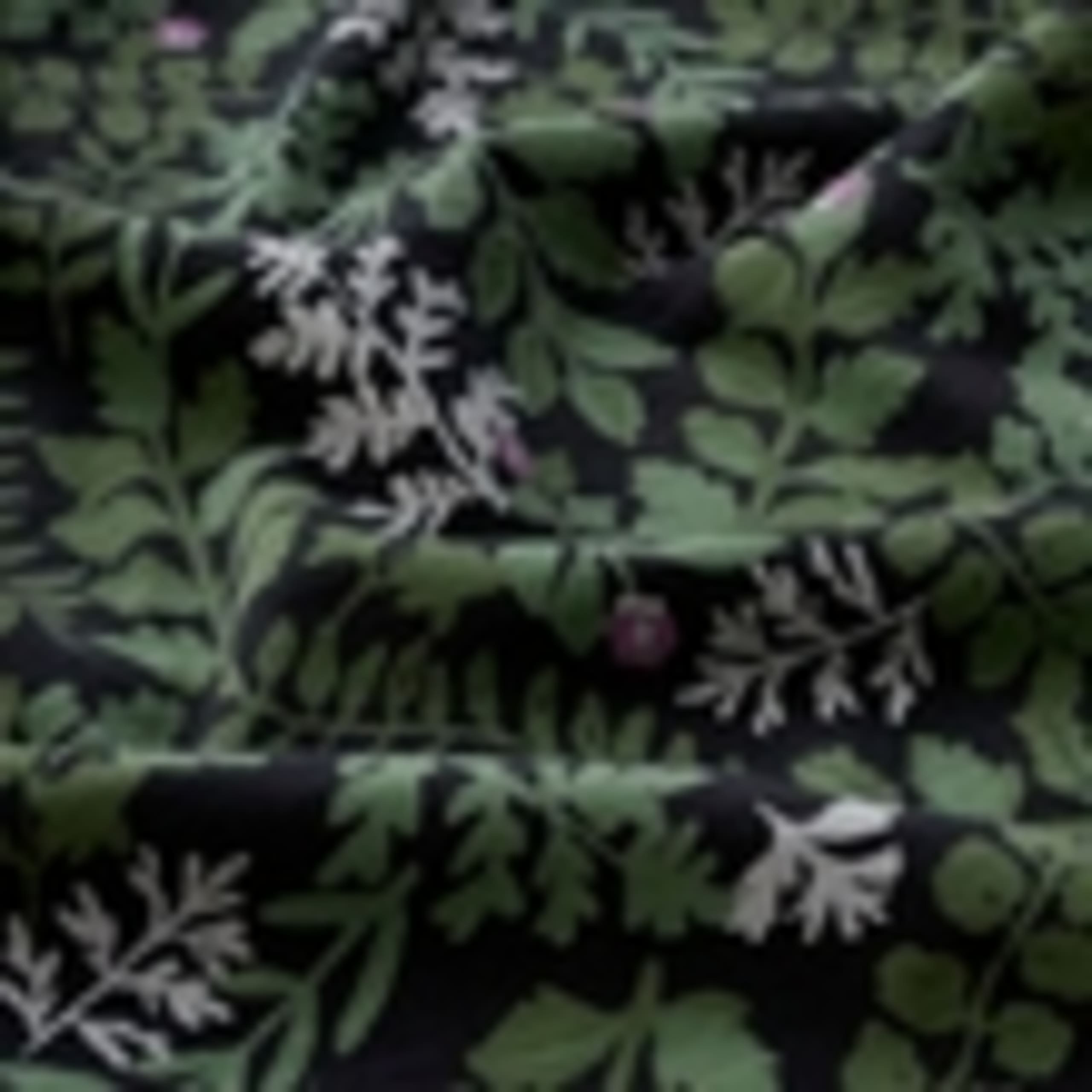 Pure Cotton Floral Mini Waisted Dress 5 of 5