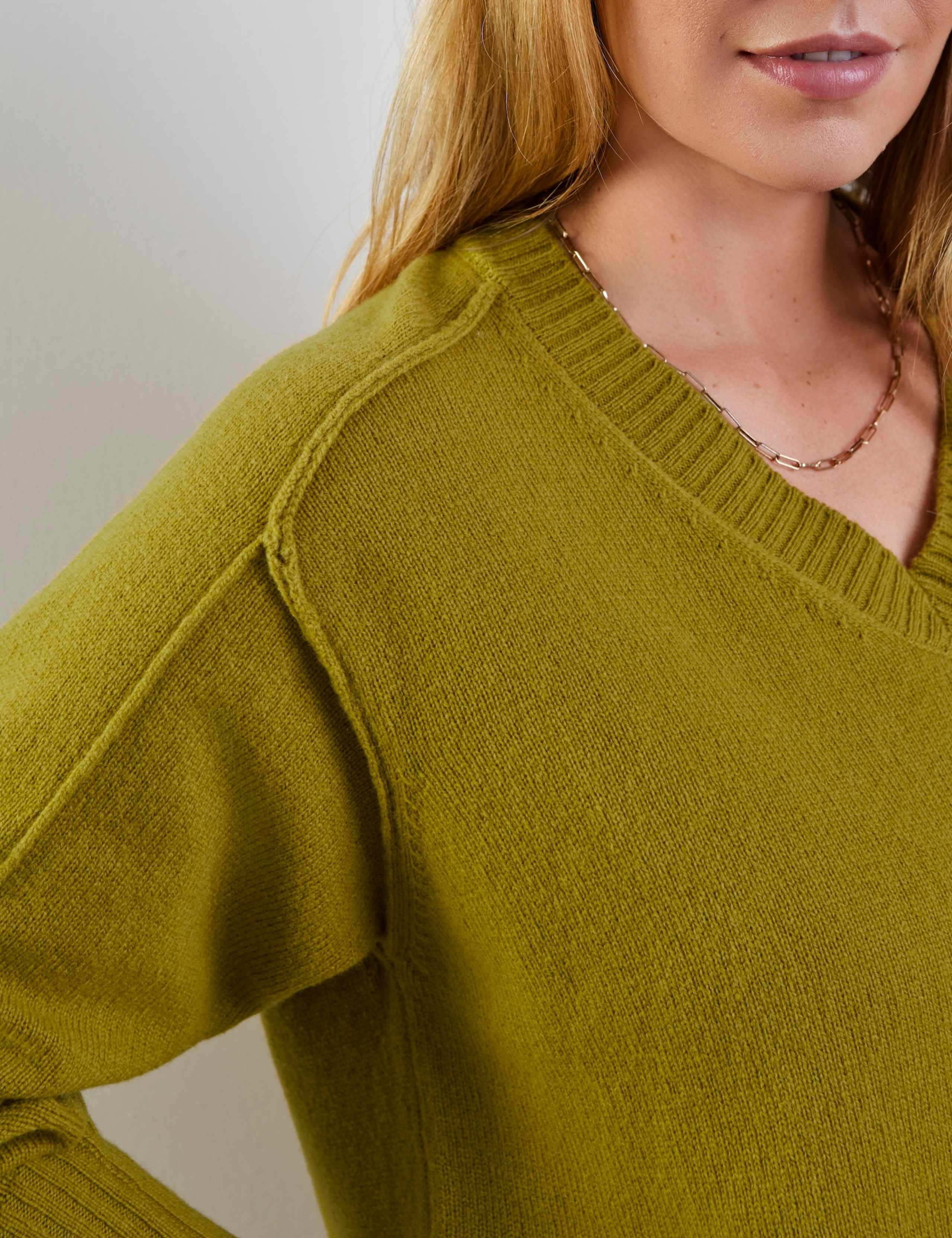 Pure Wool V-Neck Jumper 6 of 6