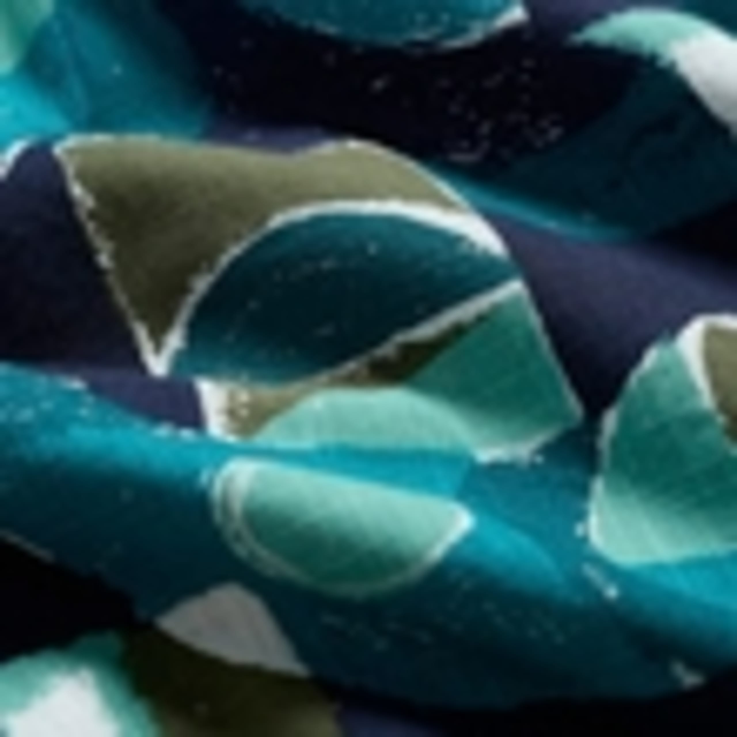 Pure Cotton Printed Midi A-Line Skirt 5 of 5