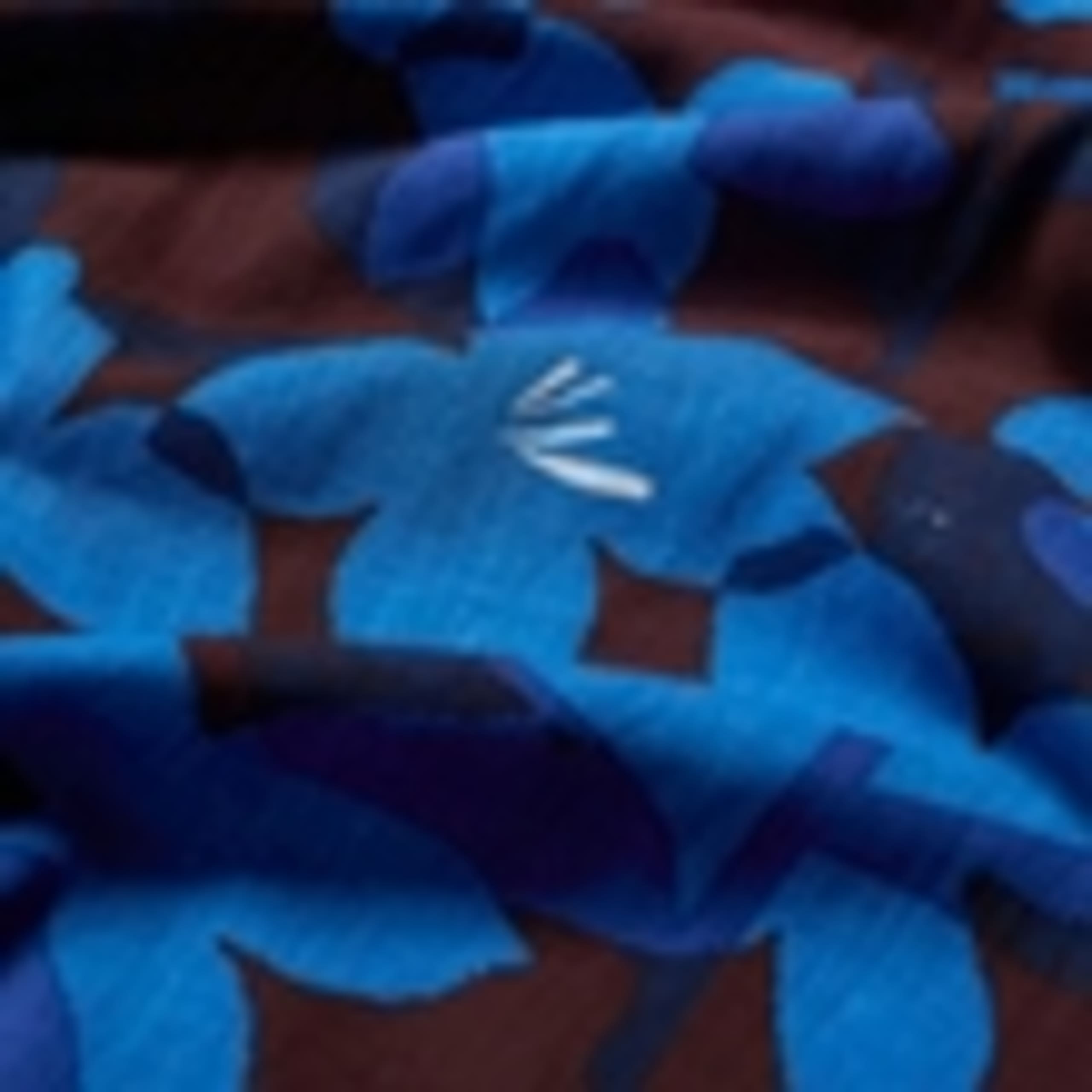 Cotton Blend Printed Floral Scarf 6 of 6