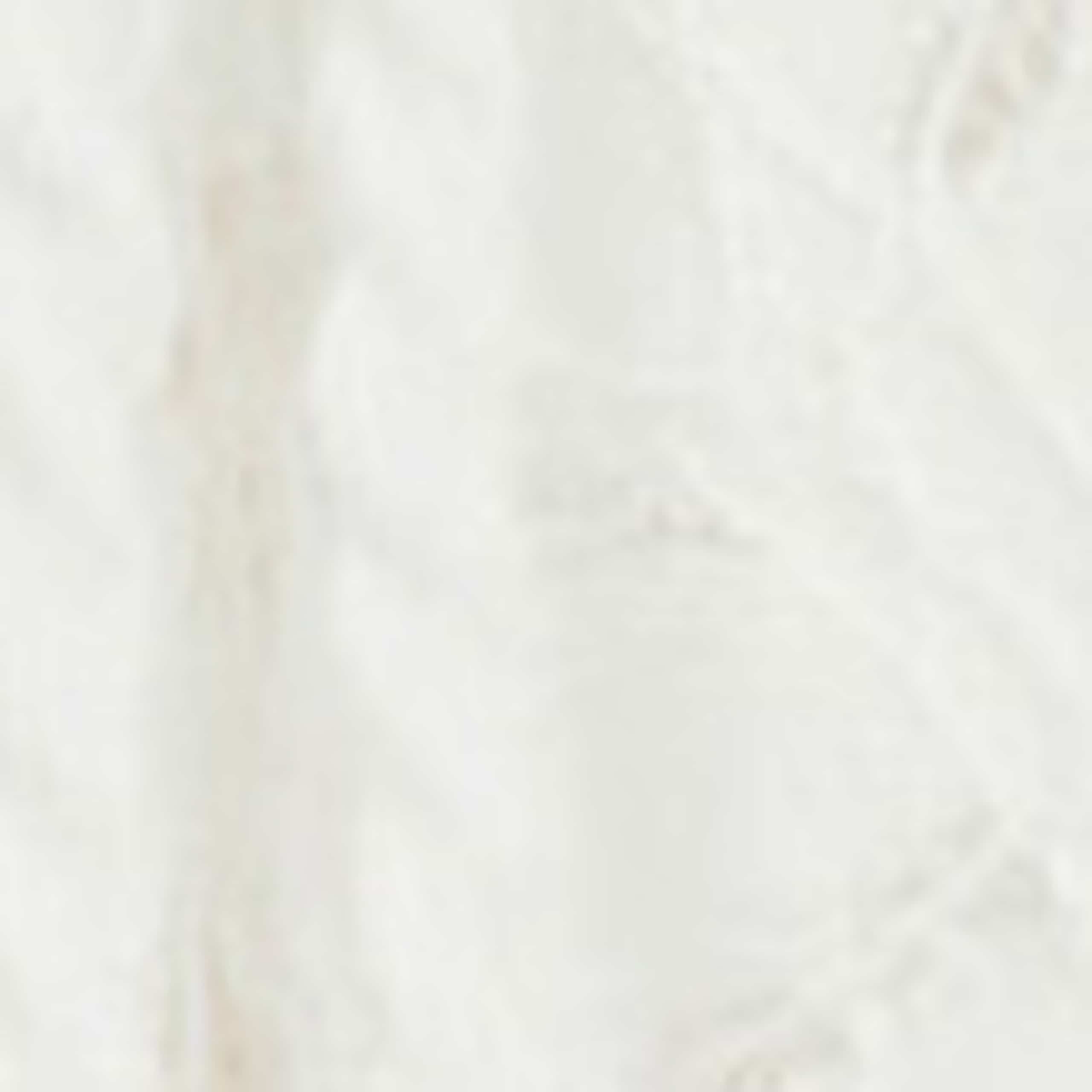 Cotton Rich Lace High Waisted Shorts 5 of 5