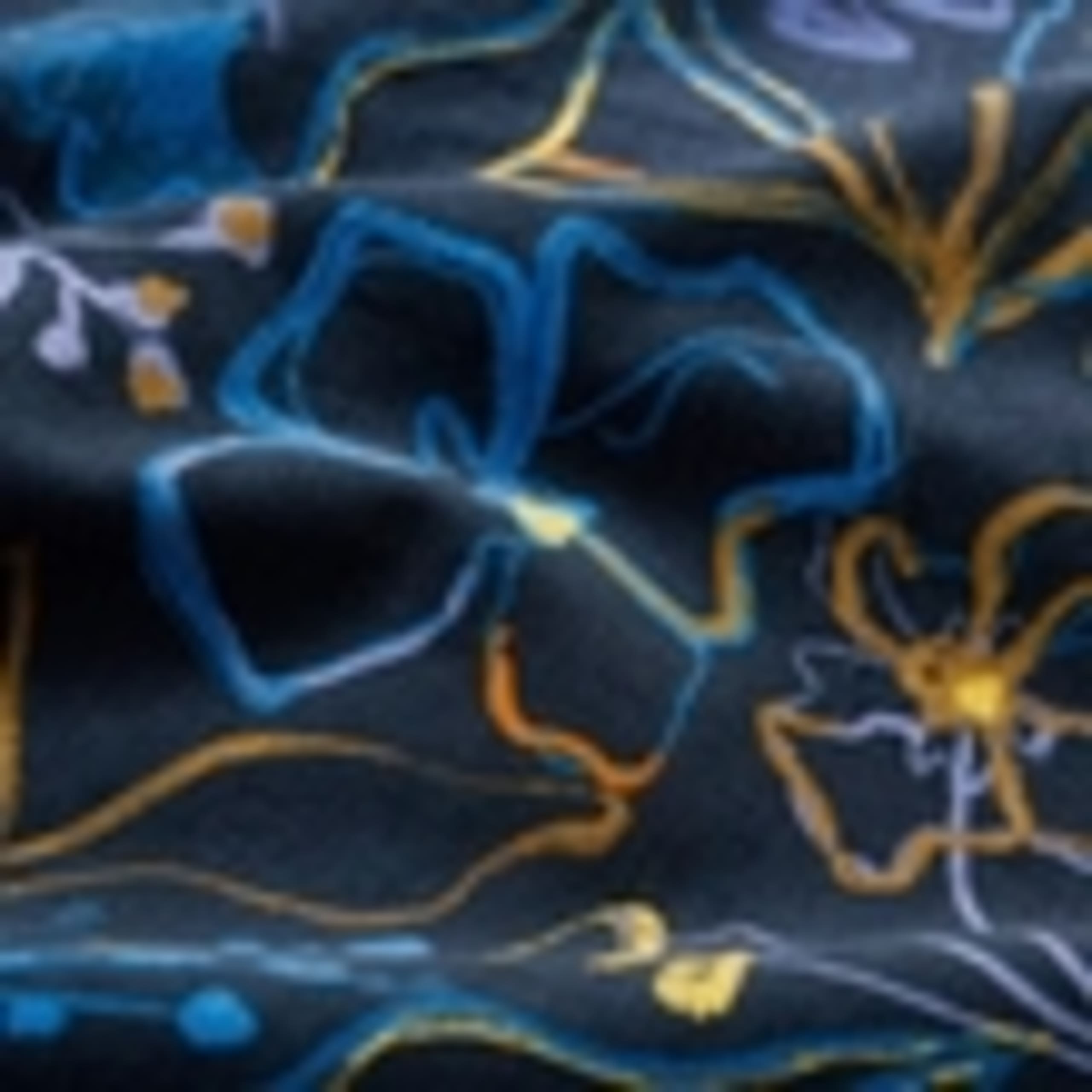 Pure Cotton Floral Midi A-Line Skirt 5 of 5