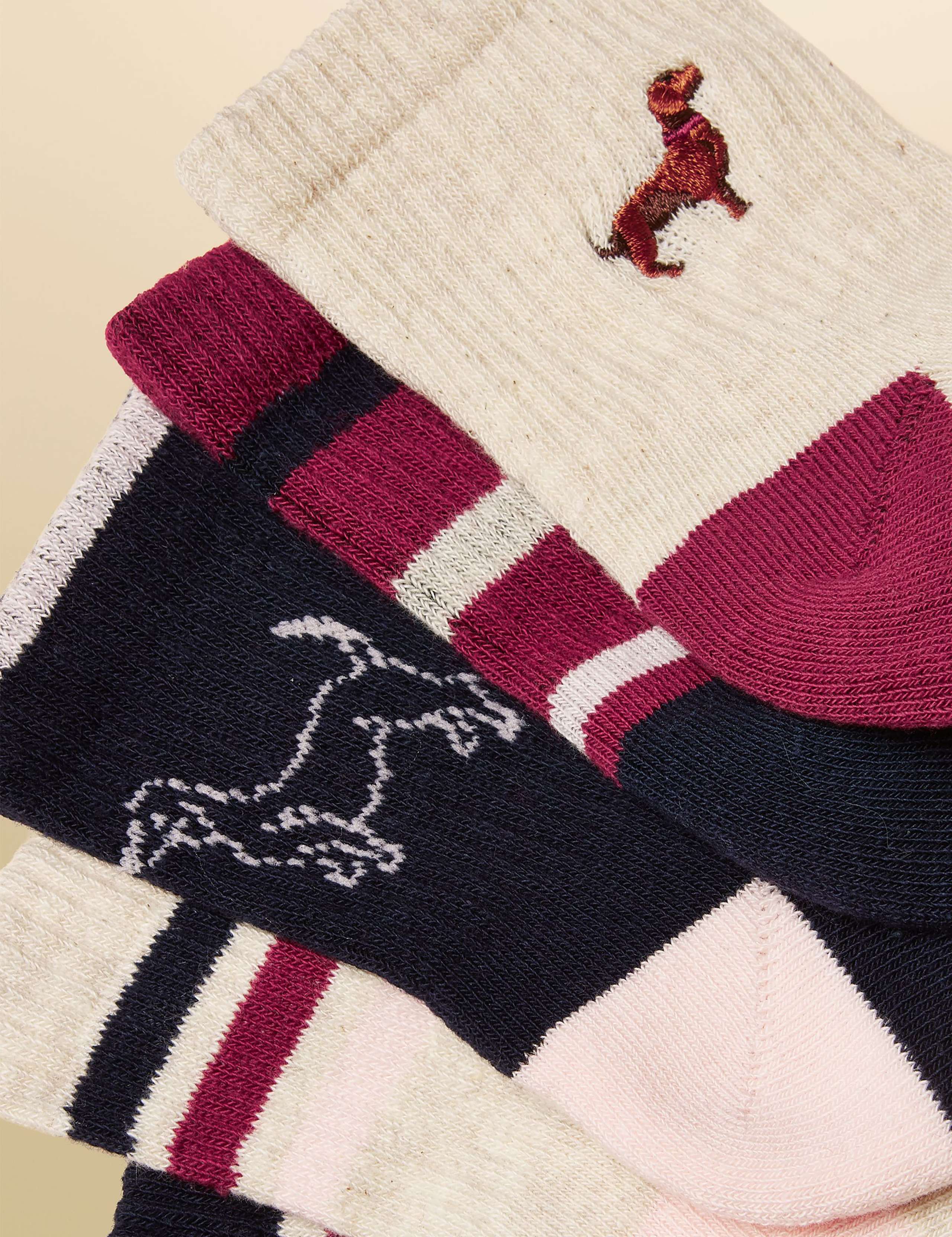 5pk Cotton Rich Striped Dog Ankle High Socks 3 of 3