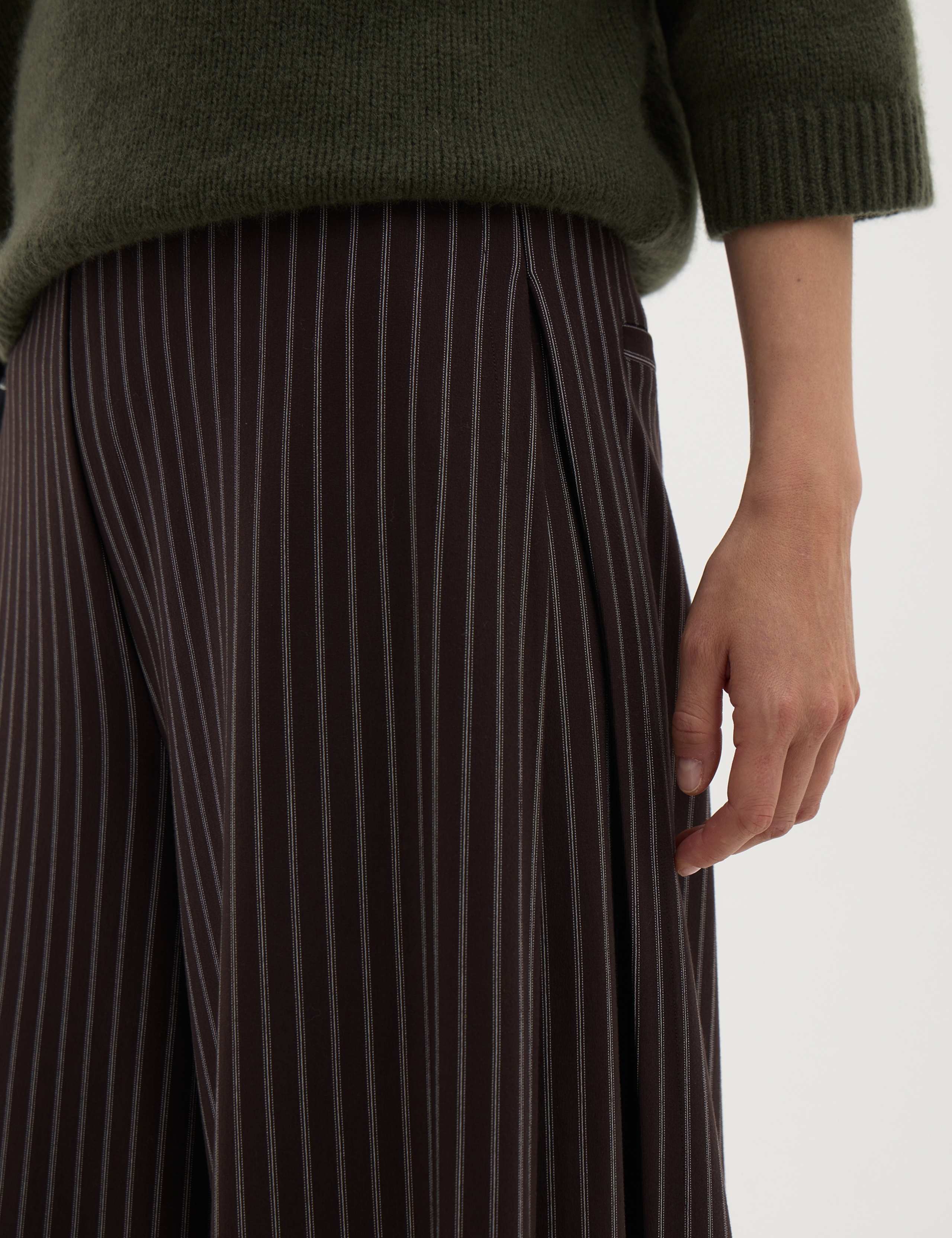 Striped Pleated Wide Leg Trousers 3 of 6
