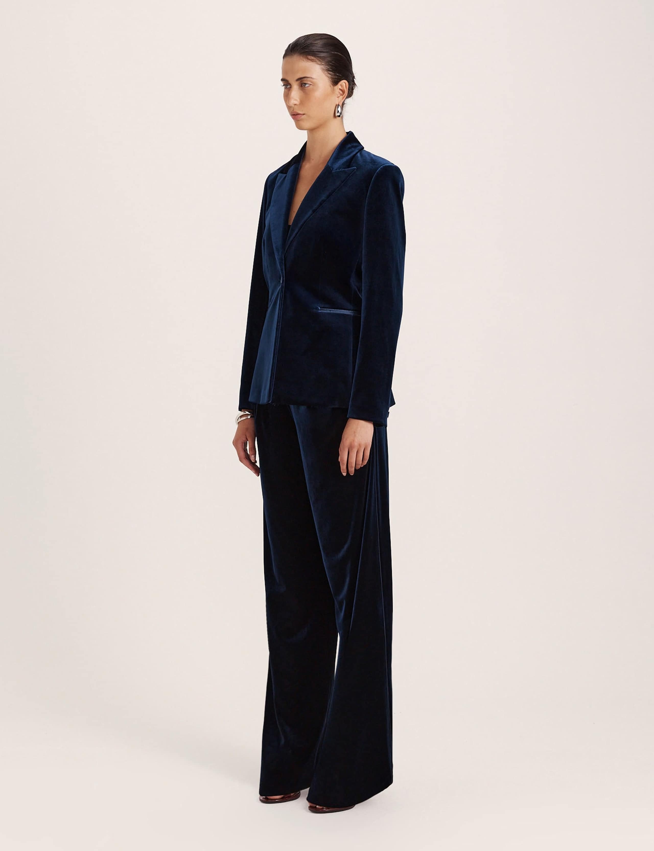 Regular Fit Velvet Blazer 8 of 8