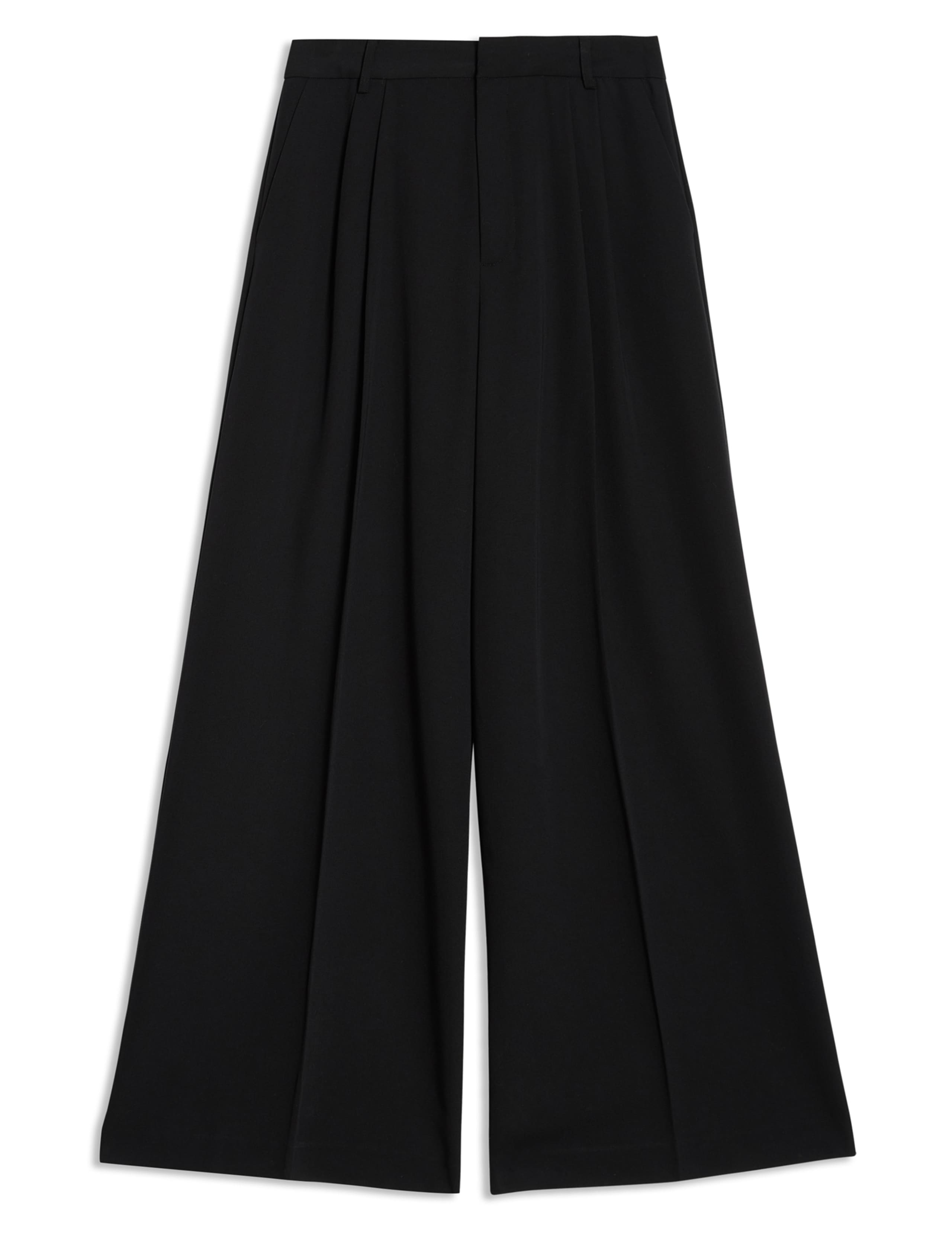 Pleated Wide Leg Trousers 2 of 5