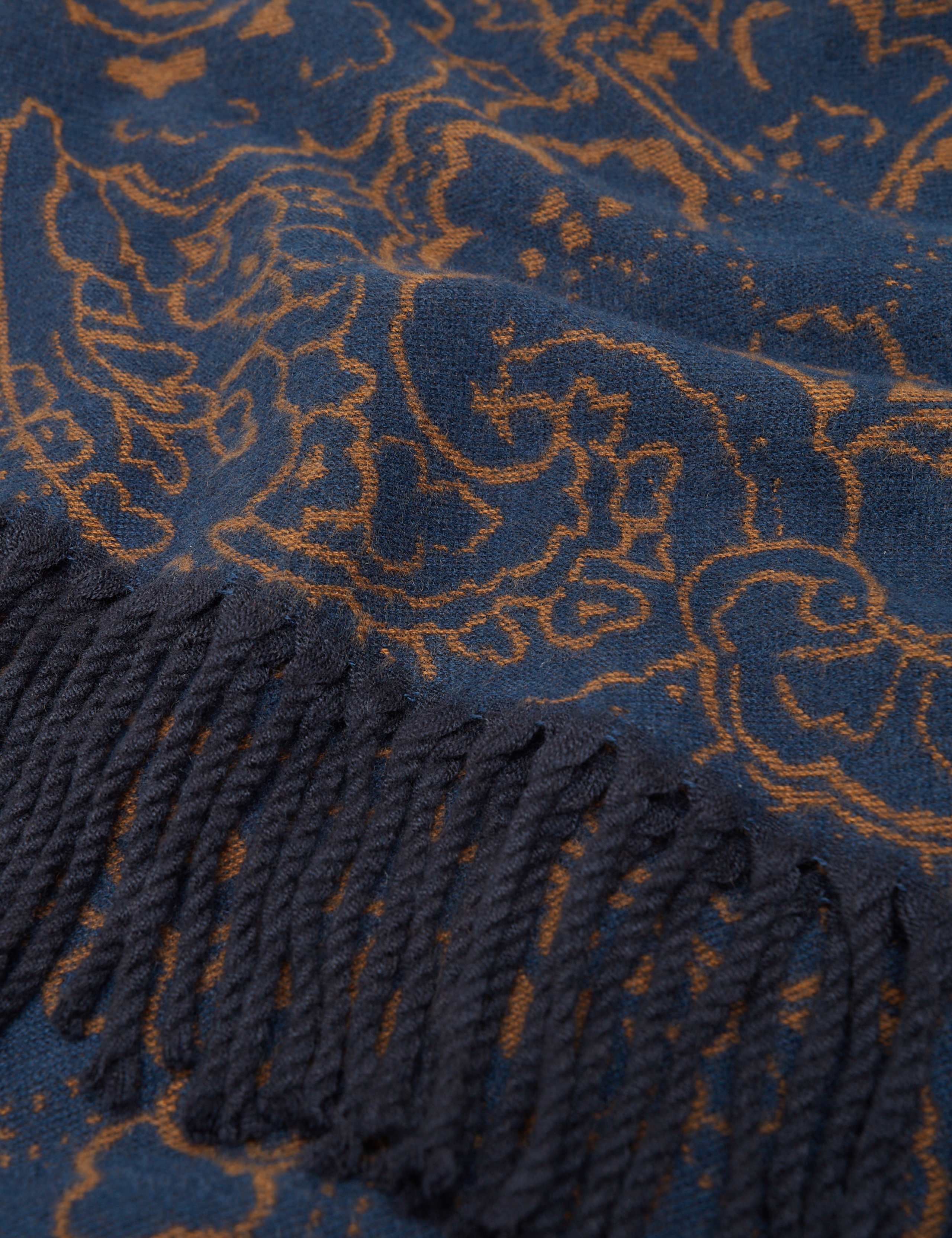 Paisley Reversible Fringed Scarf 5 of 5