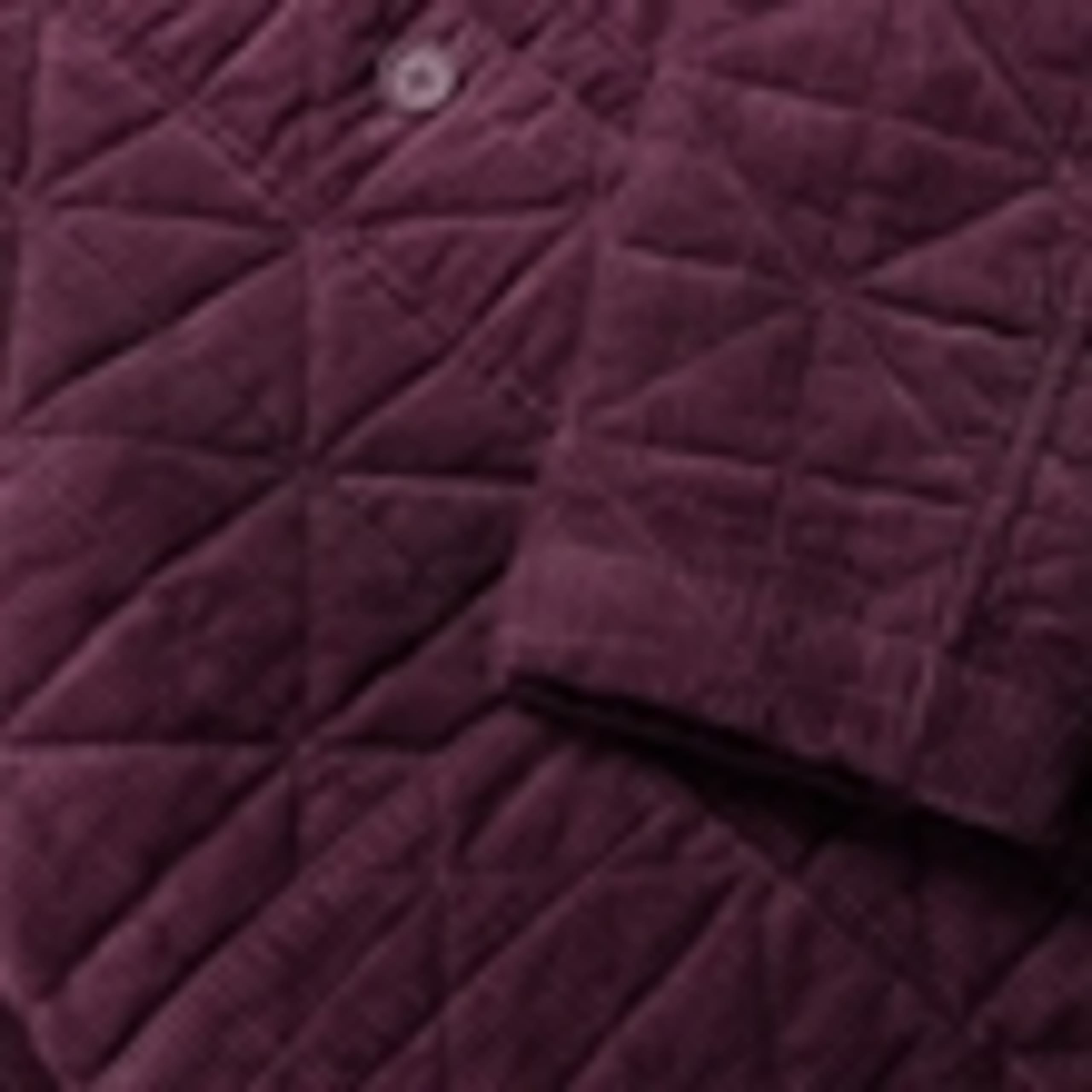 Corduroy Textured Collared Short Jacket 5 of 5