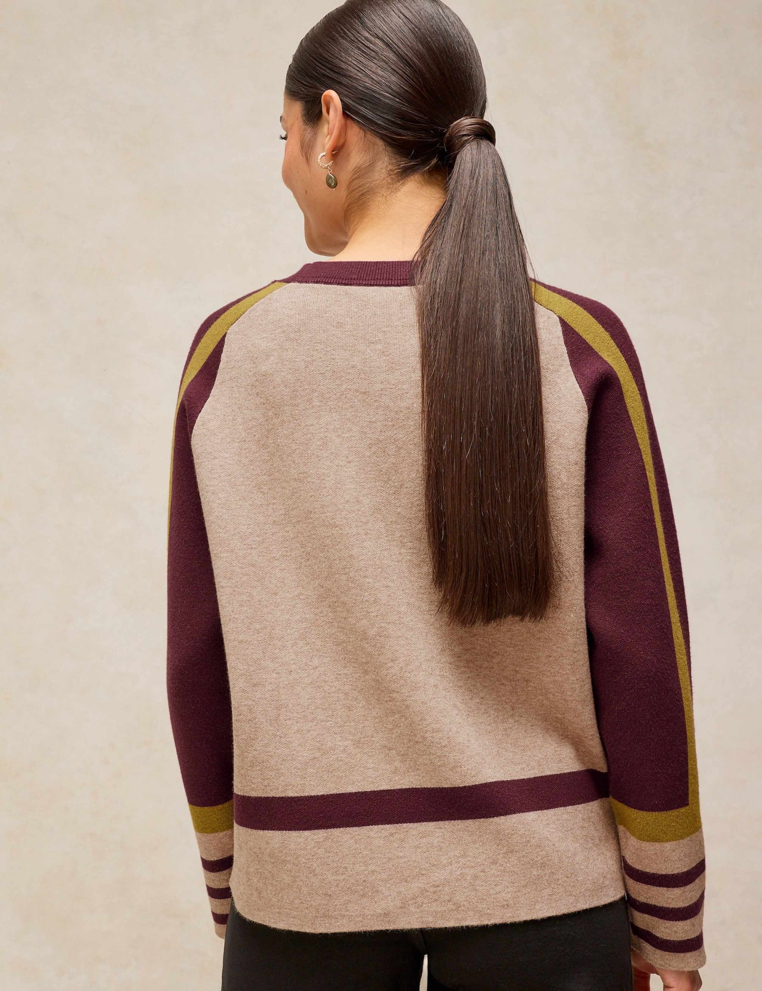 Colour Block Striped Sleeve Jumper 4 of 6