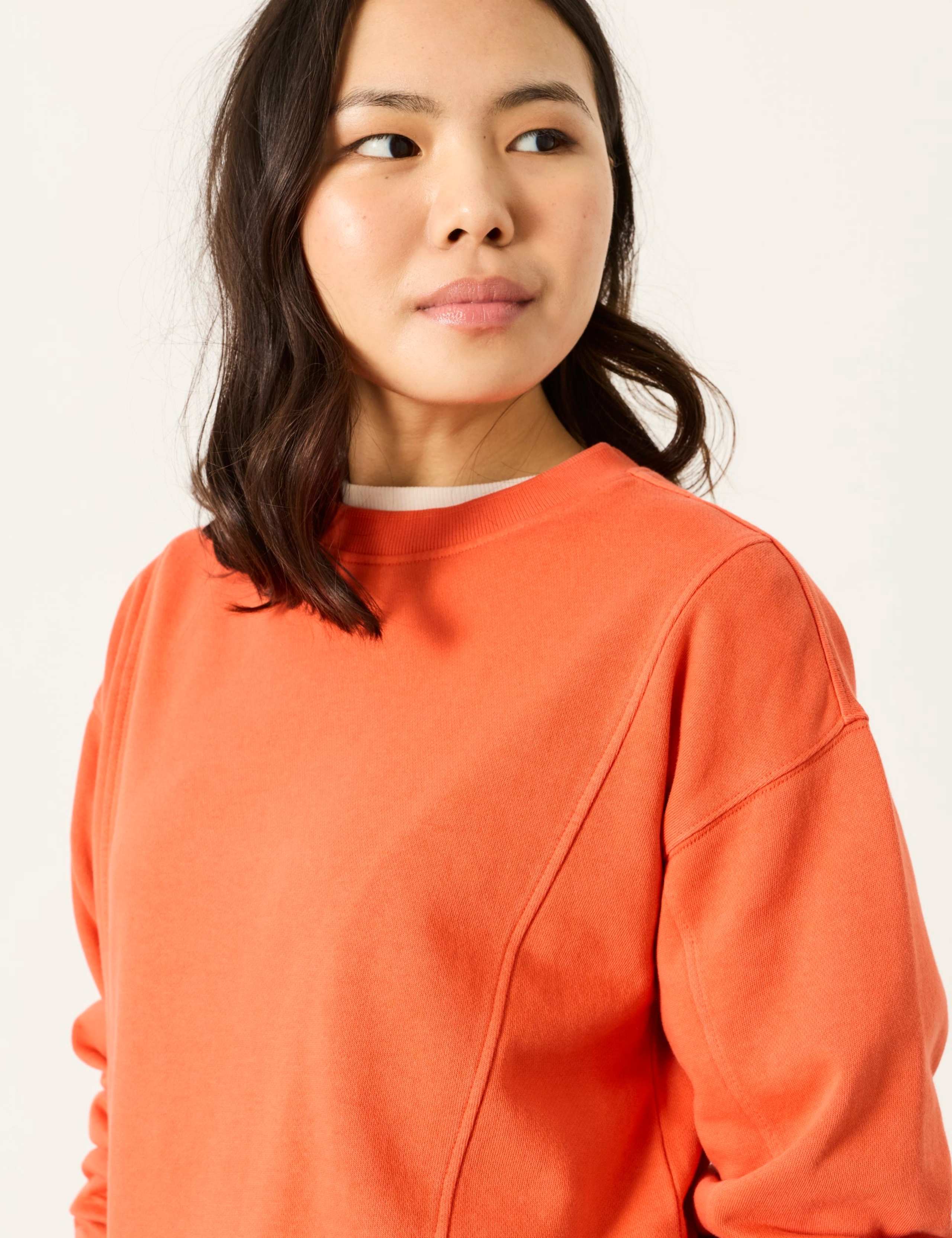 Pure Cotton Crew Neck Sweatshirt 6 of 6