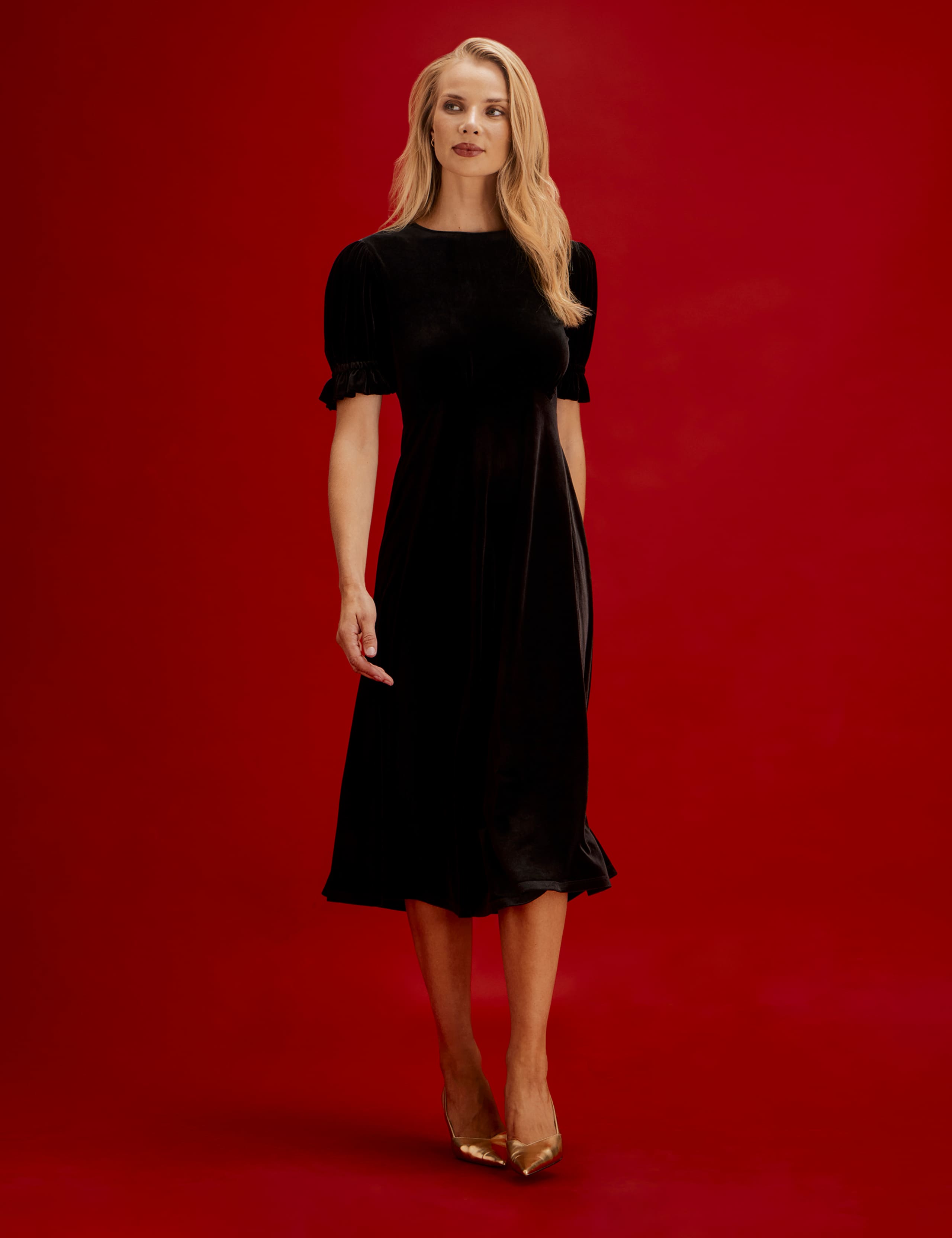 Velvet Round Neck Midi Tea Dress 1 of 9