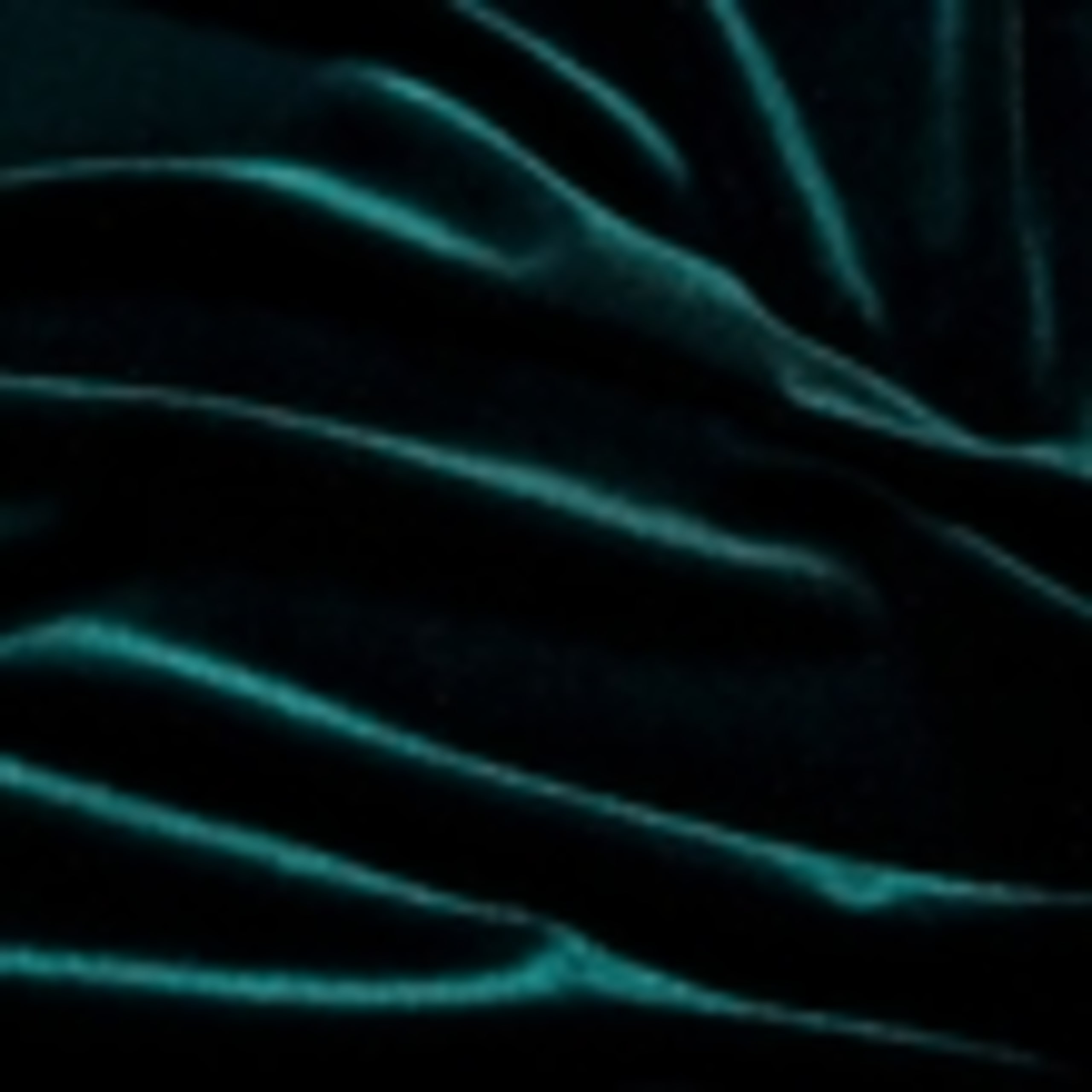 Velvet Knee Length Shift Dress 5 of 5