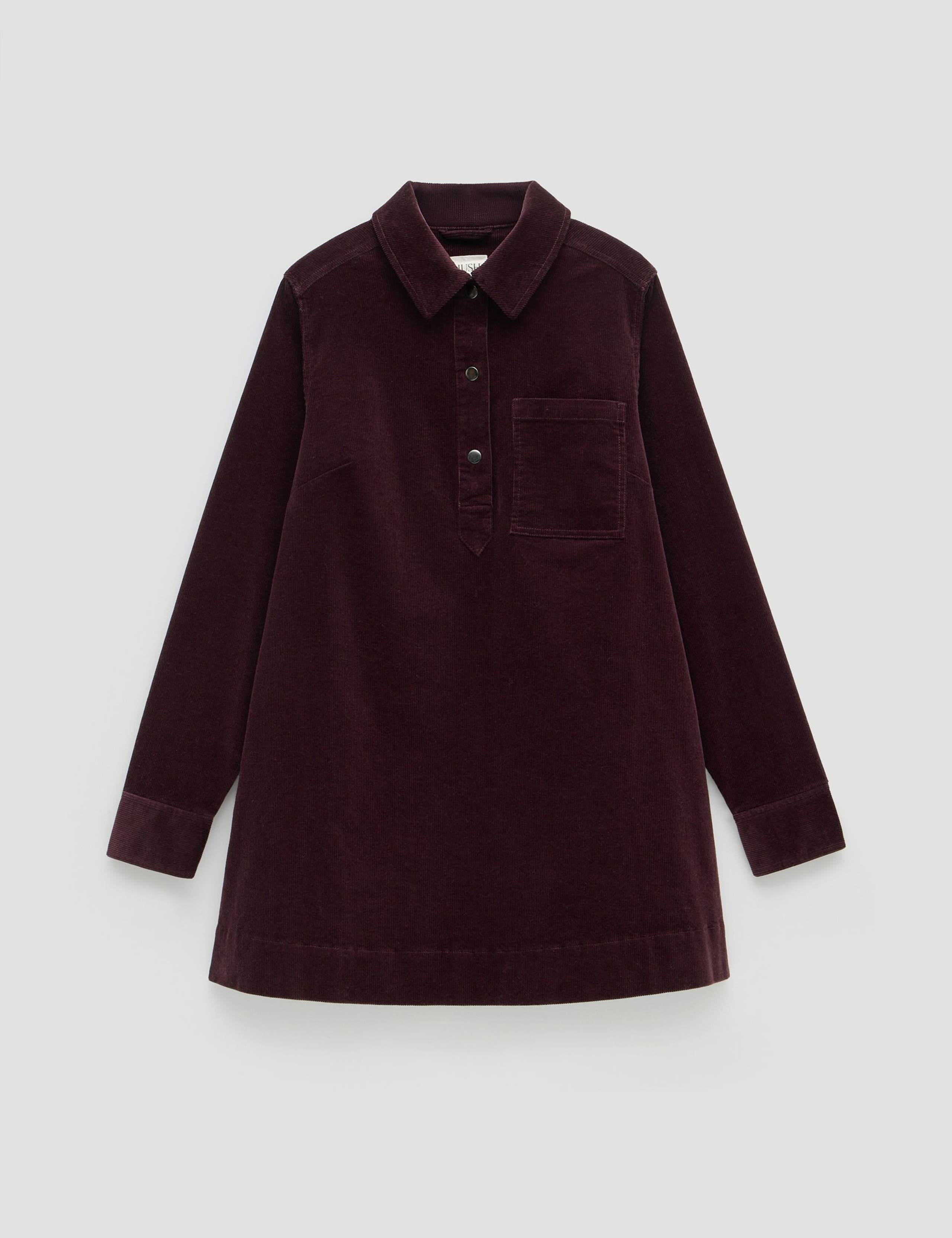 Cotton Rich Collared Mini Shift Dress 2 of 5