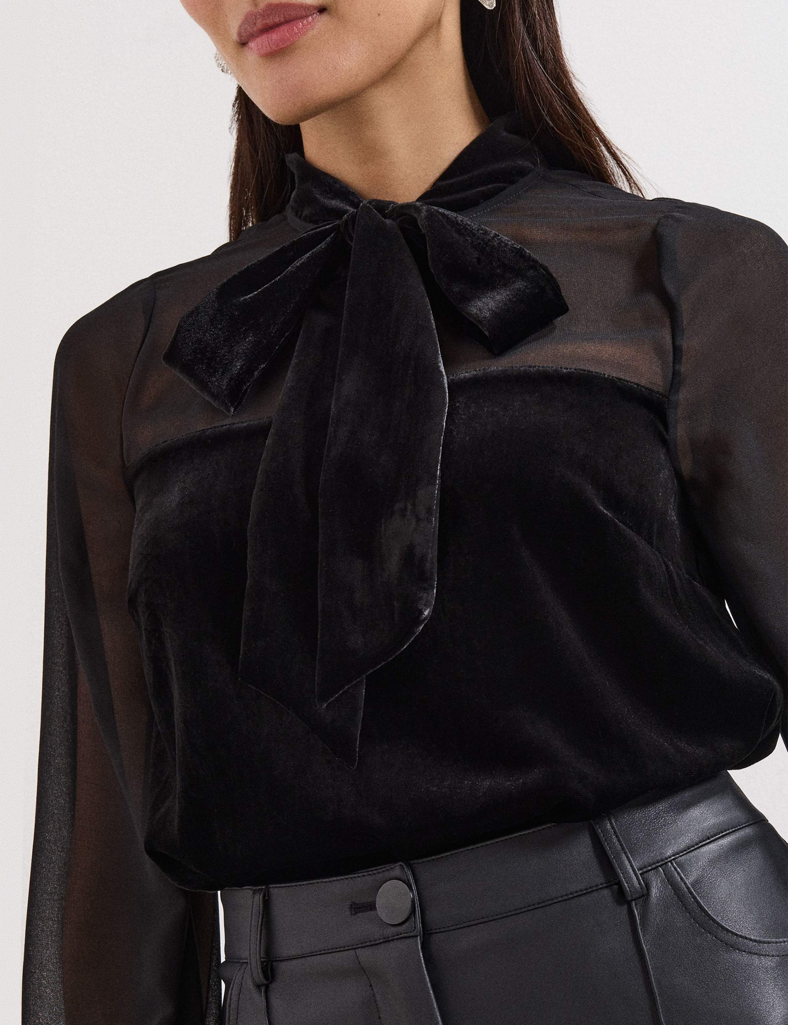 Velvet Tie Neck Blouse 6 of 6