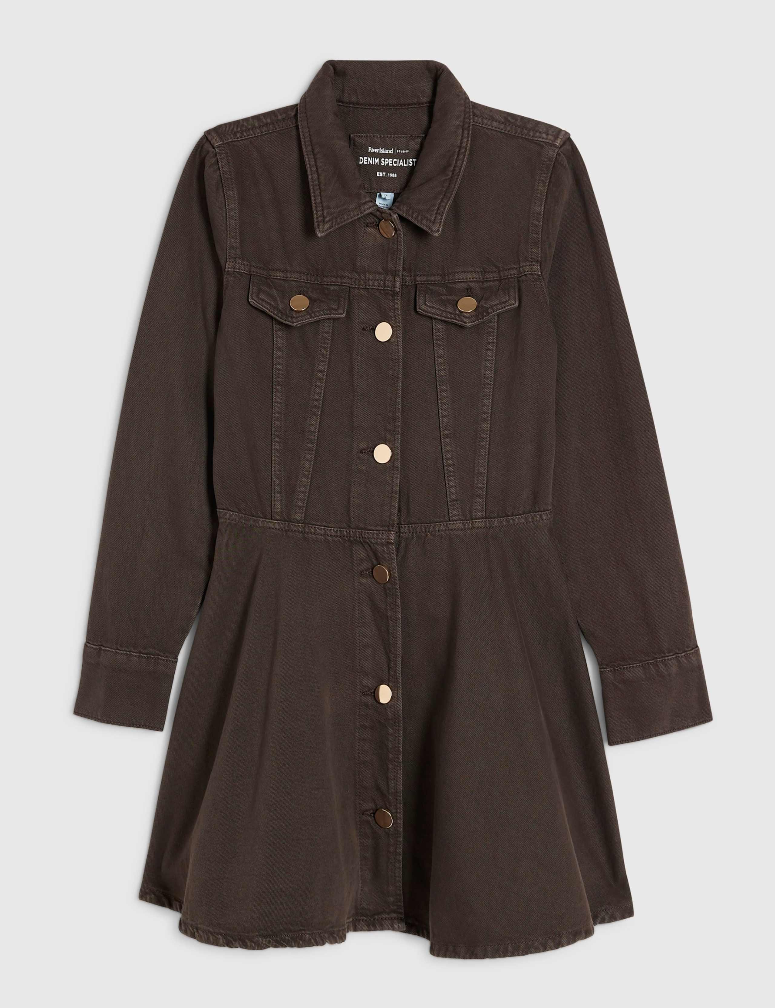 Denim Button Up Mini Swing Dress 3 of 6