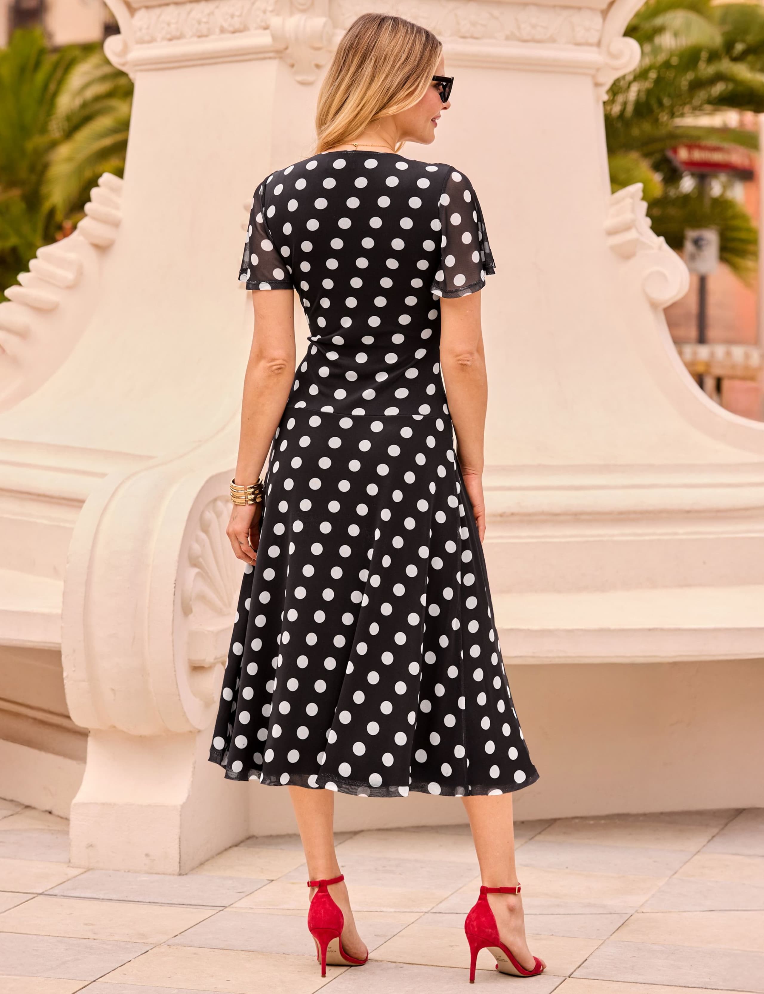 Mesh Polka Dot V-Neck Midi Skater Dress 5 of 5