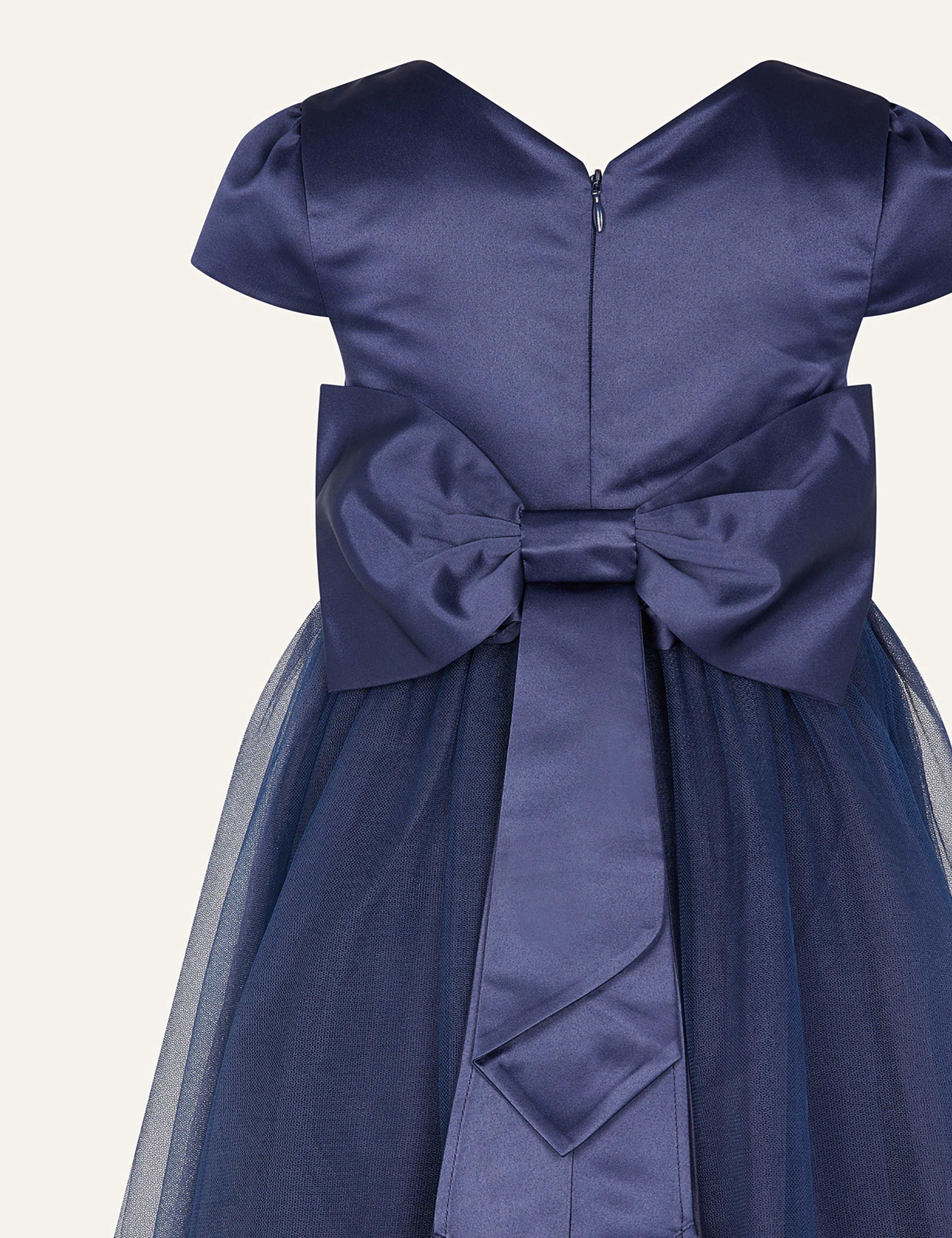 Tulle Occasion Dress (3-13 Yrs) 3 of 3