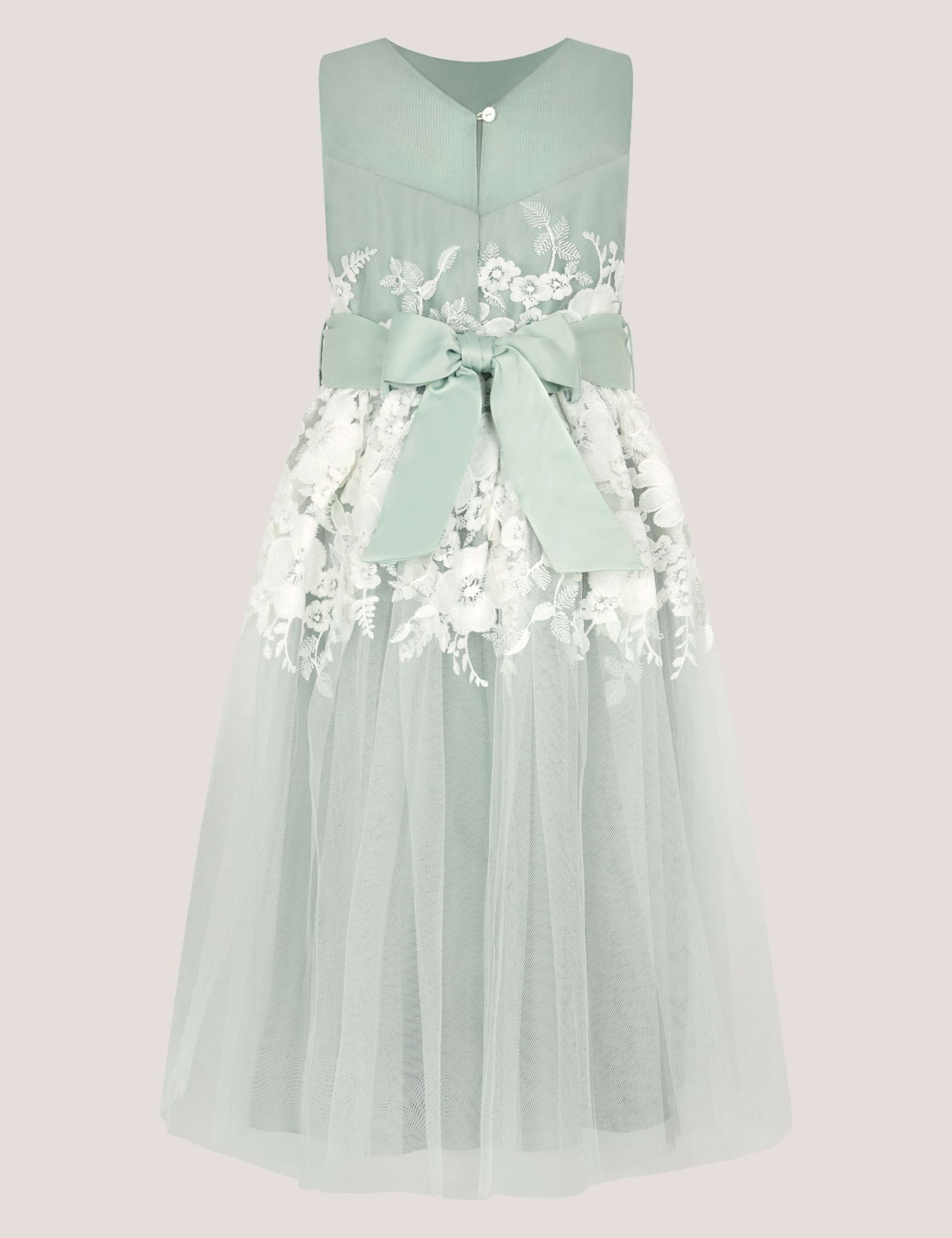 Tulle Floral Embroidered Occasion Dress (3-13 Yrs) 3 of 4