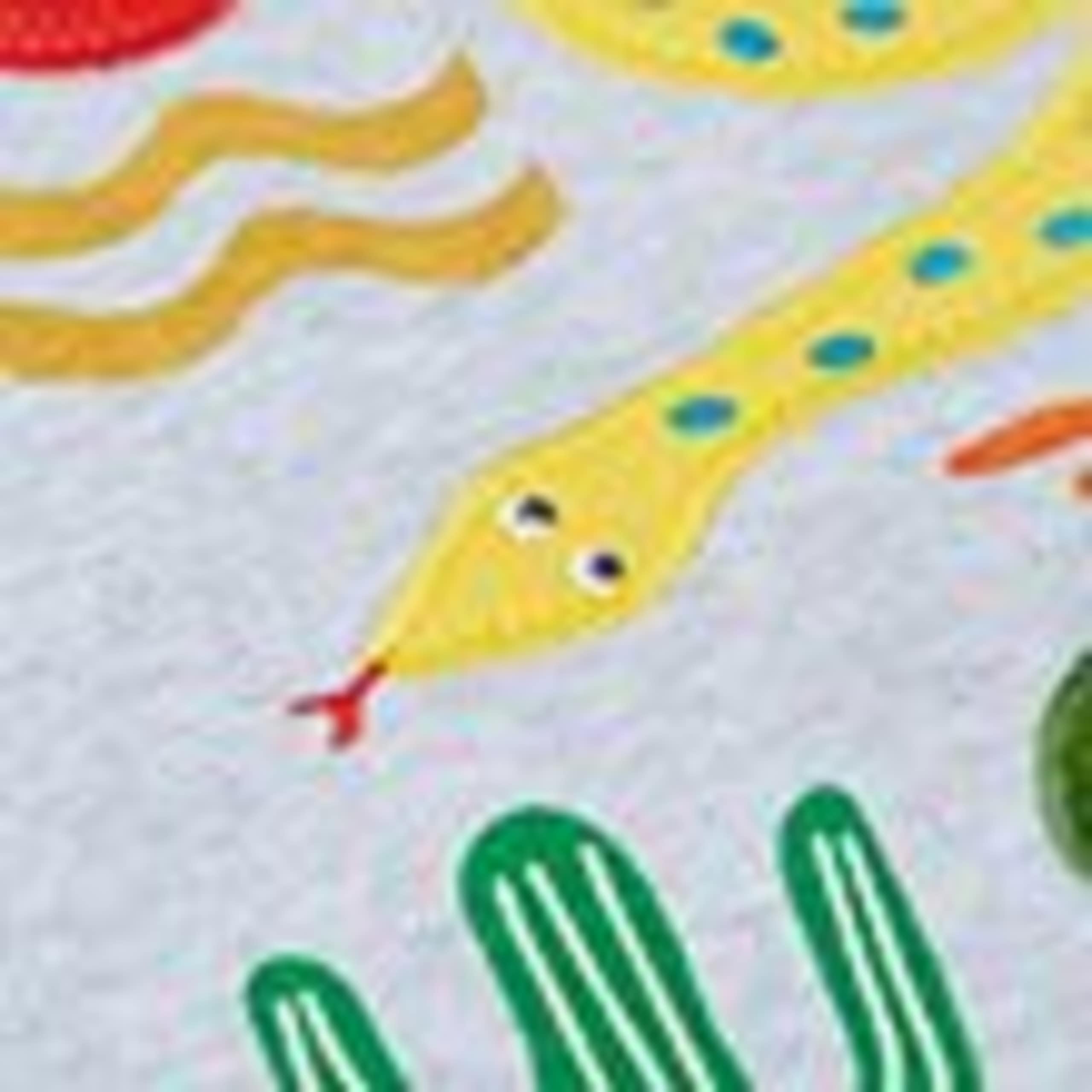 Pure Cotton Animal Applique Top (1-10 Years) 5 of 5