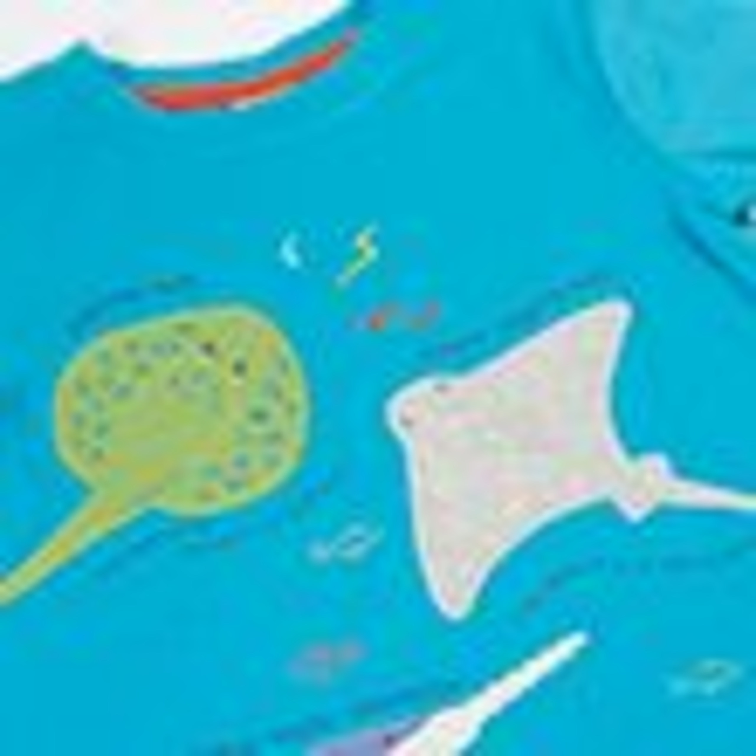 Pure Cotton Sealife Applique T-Shirt (1-10 Yrs) 6 of 6