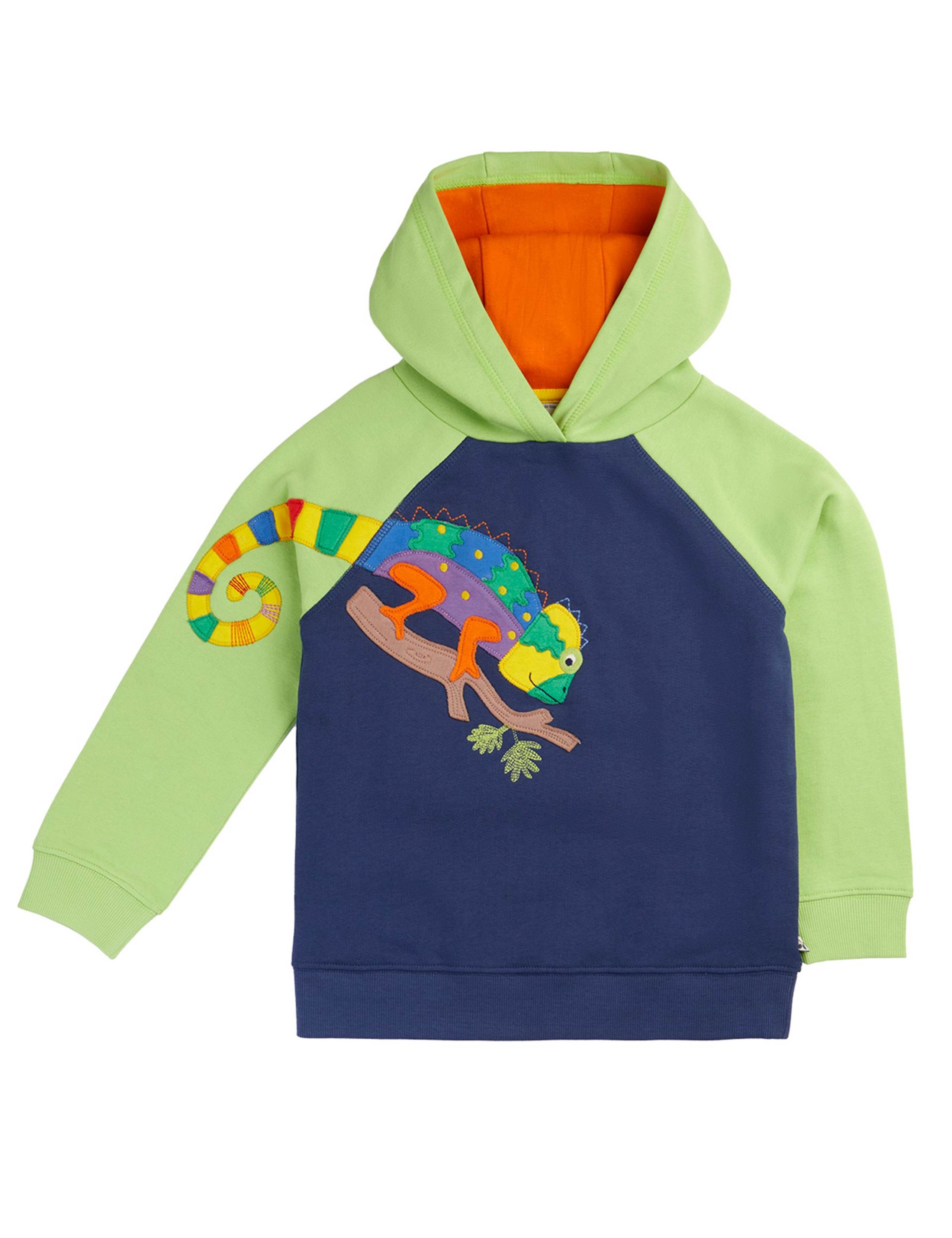 Pure Cotton Chameleon Appliqué Hoodie (2-12 Years) 1 of 4