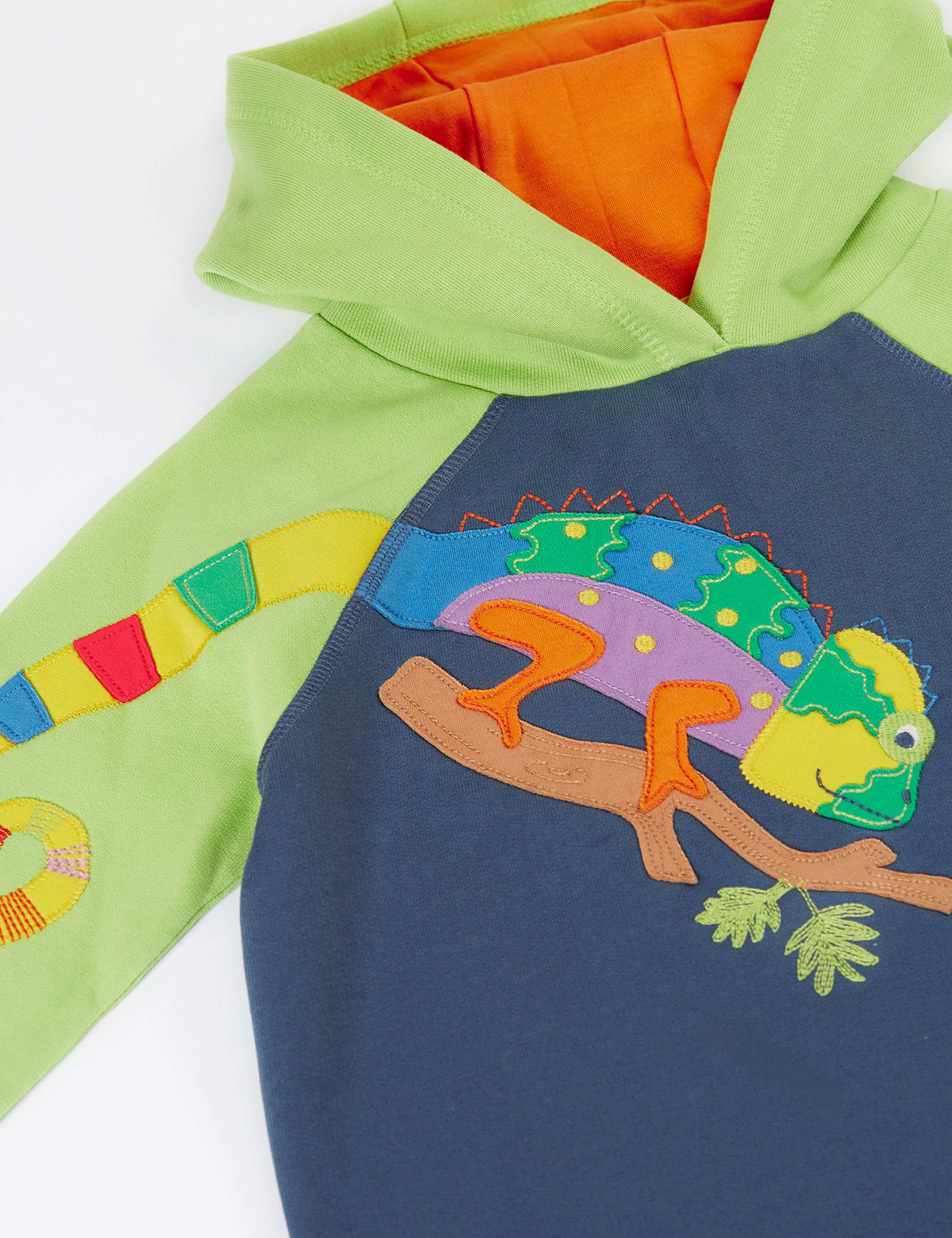 Pure Cotton Chameleon Appliqué Hoodie (2-12 Years) 2 of 4