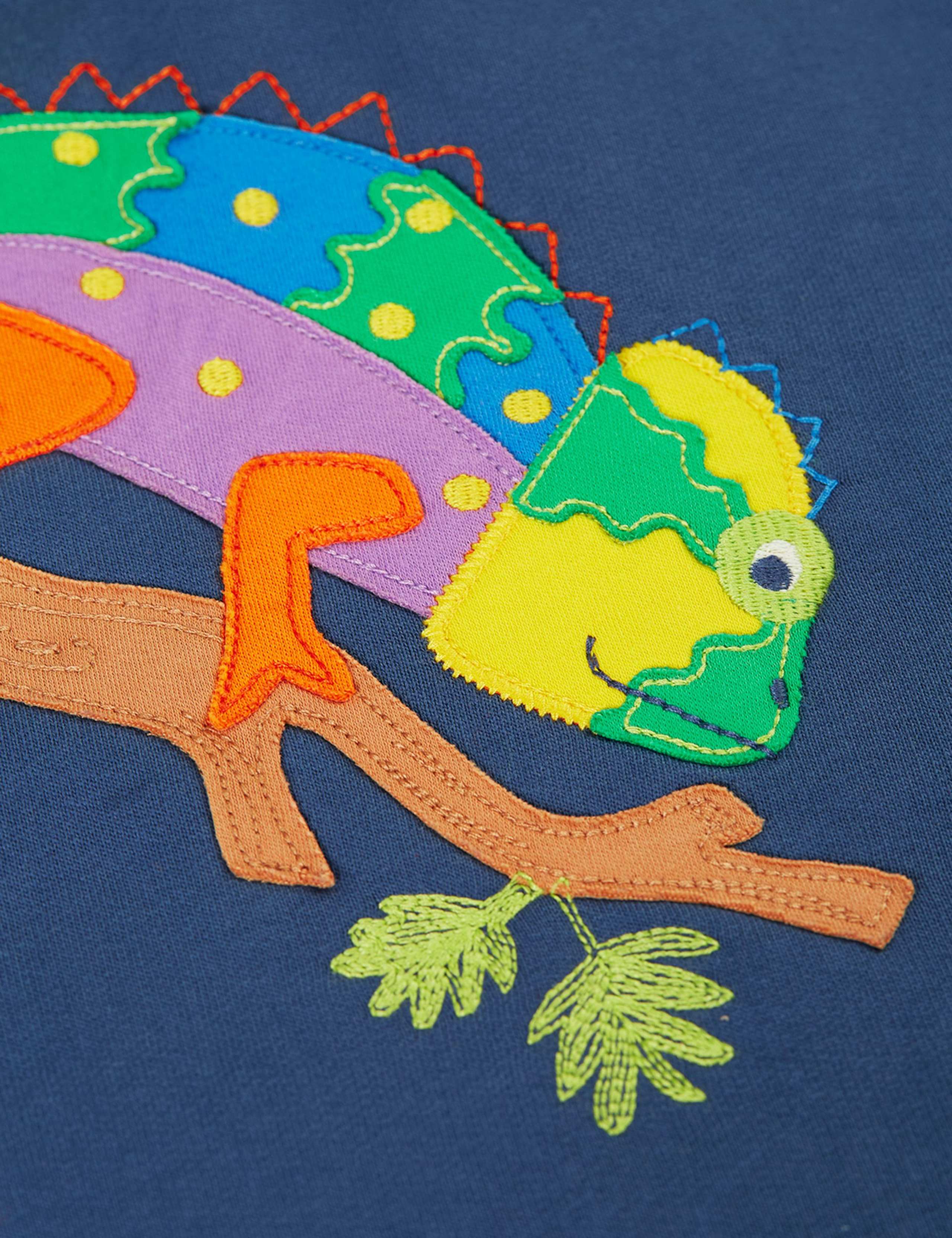 Pure Cotton Chameleon Appliqué Hoodie (2-12 Years) 3 of 4
