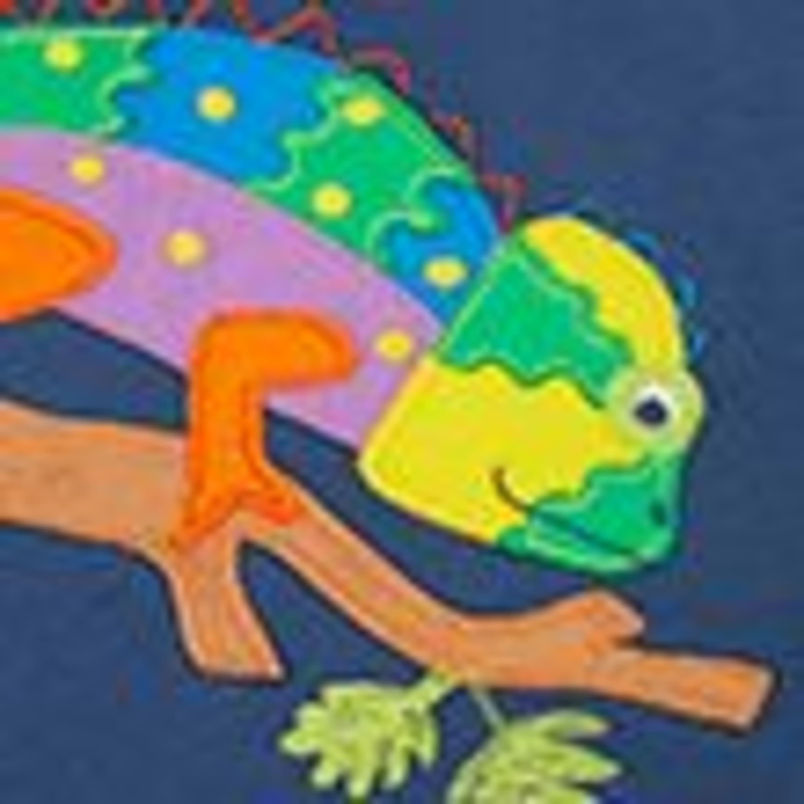 Pure Cotton Chameleon Appliqué Hoodie (2-12 Years) 4 of 4