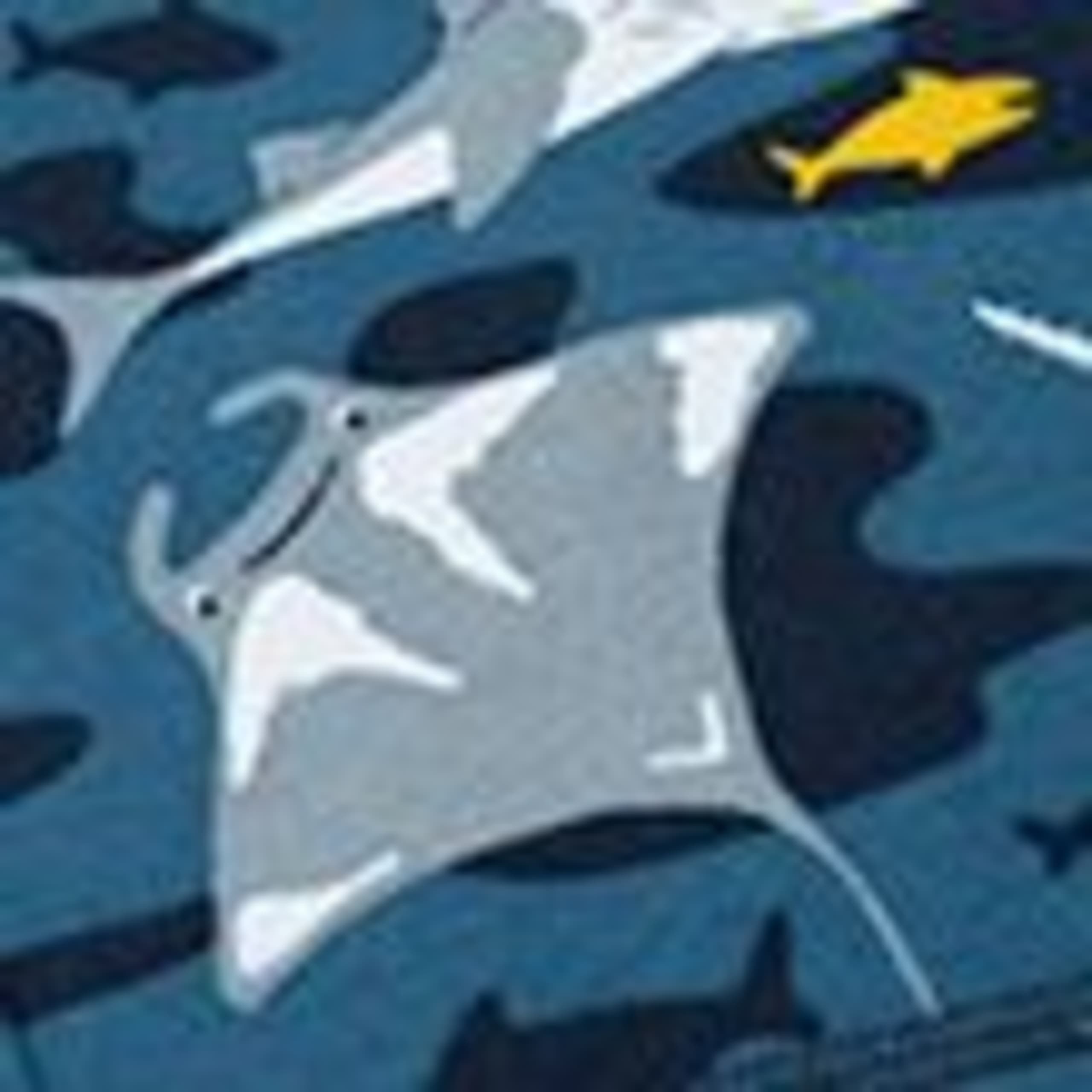 Pure Cotton Underwater Print Joggers (1-10 Yrs) 3 of 3