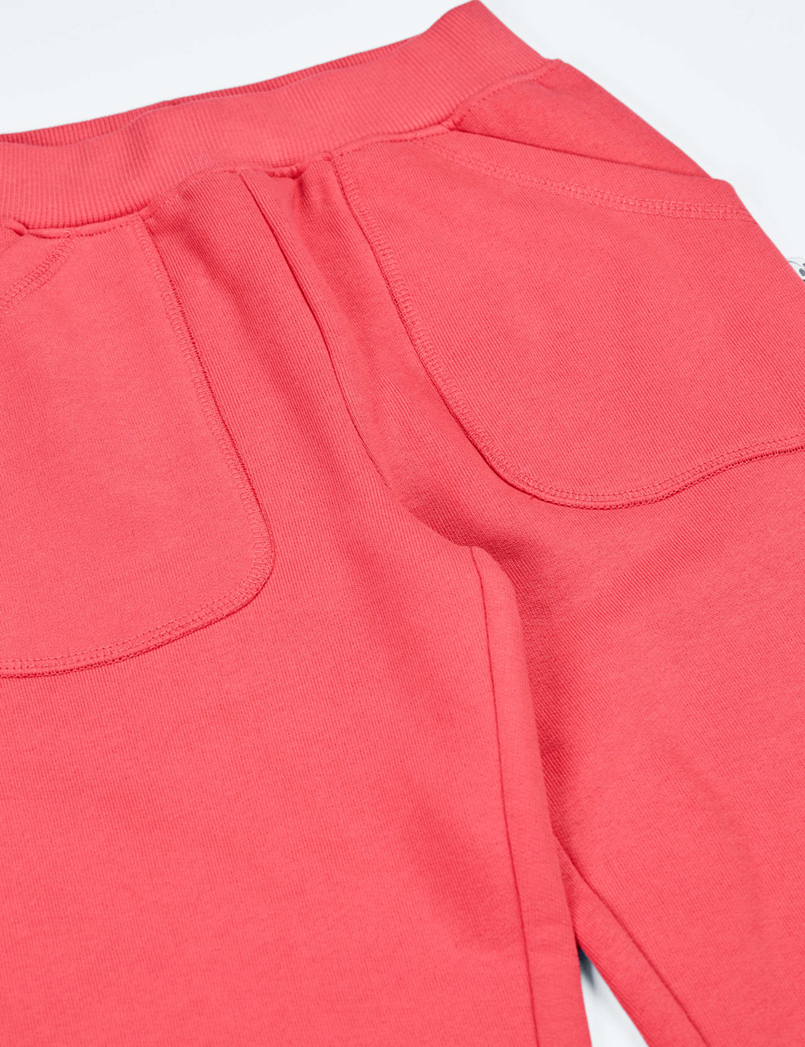 Pure Cotton Appliqué Joggers (1-10 Yrs) 2 of 3