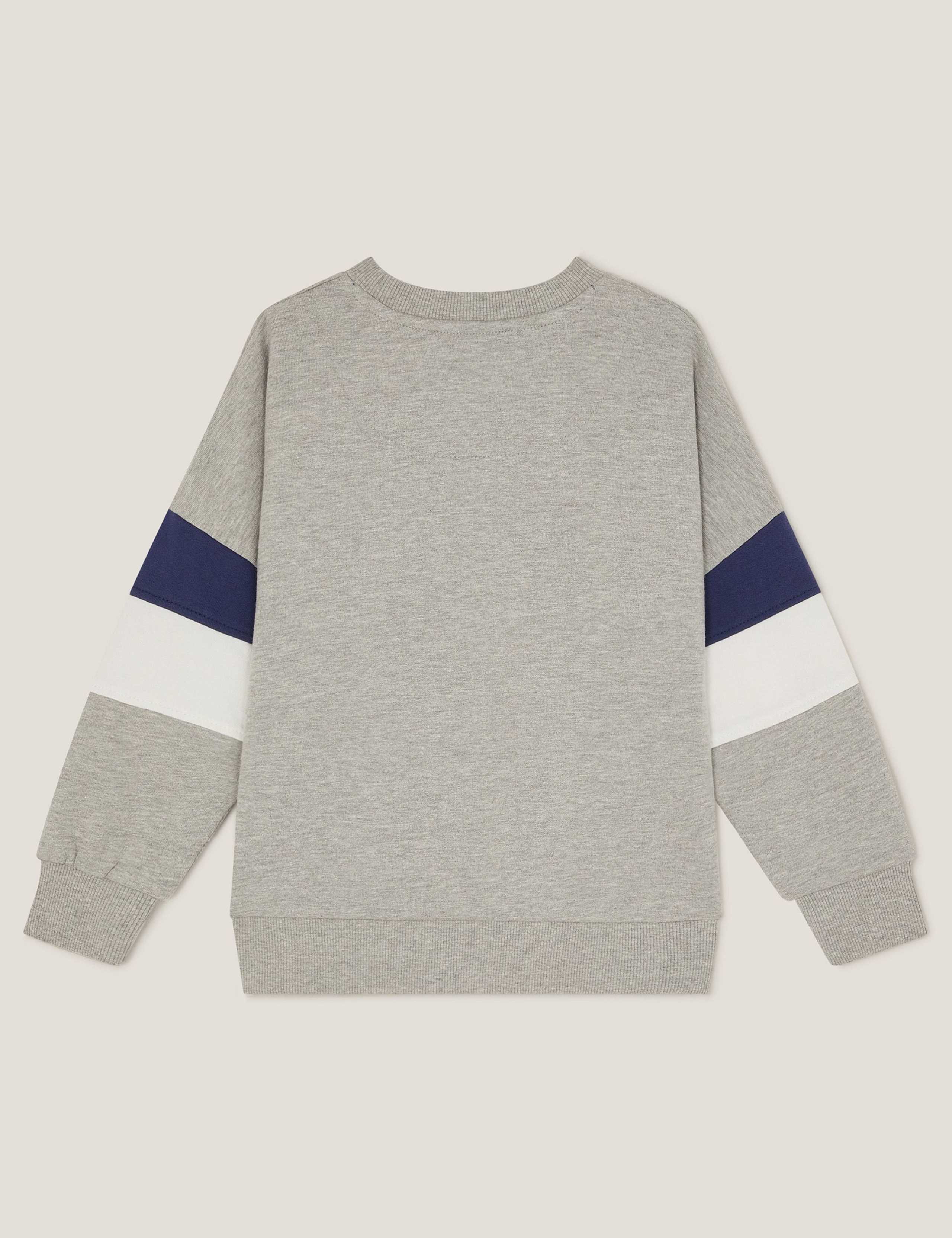 Pure Cotton Tiger Varsity Sweatshirt (3-13 Yrs) 2 of 3