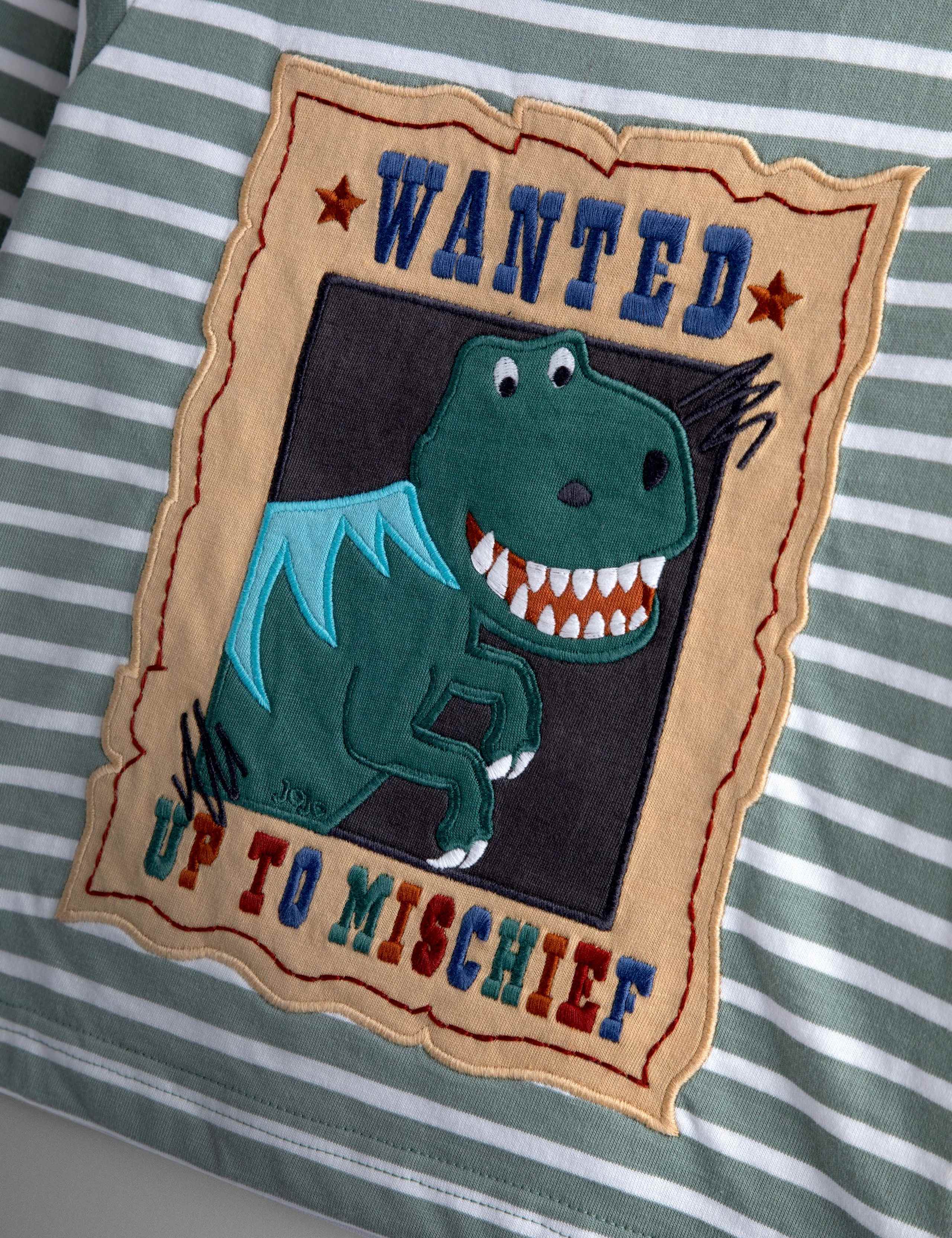 Pure Cotton Wanted Dino Applique Top (6 Mths - 7 Yrs) 2 of 3