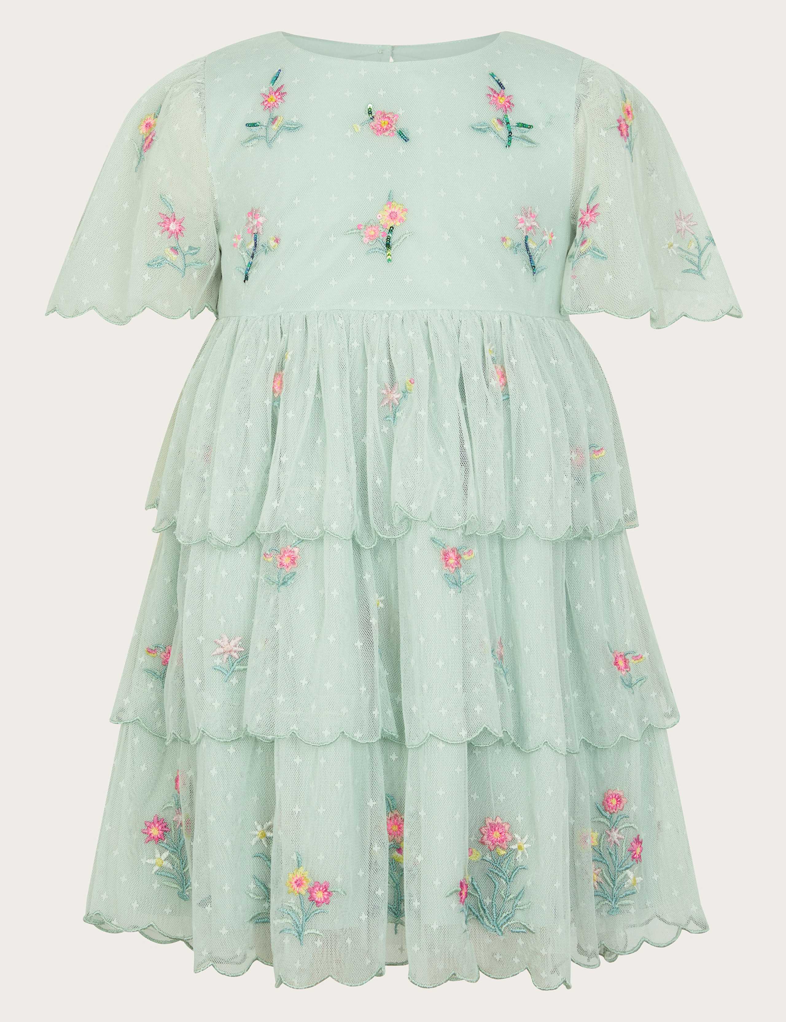 Embroidered Lace Dress (3-15 Yrs) 3 of 4