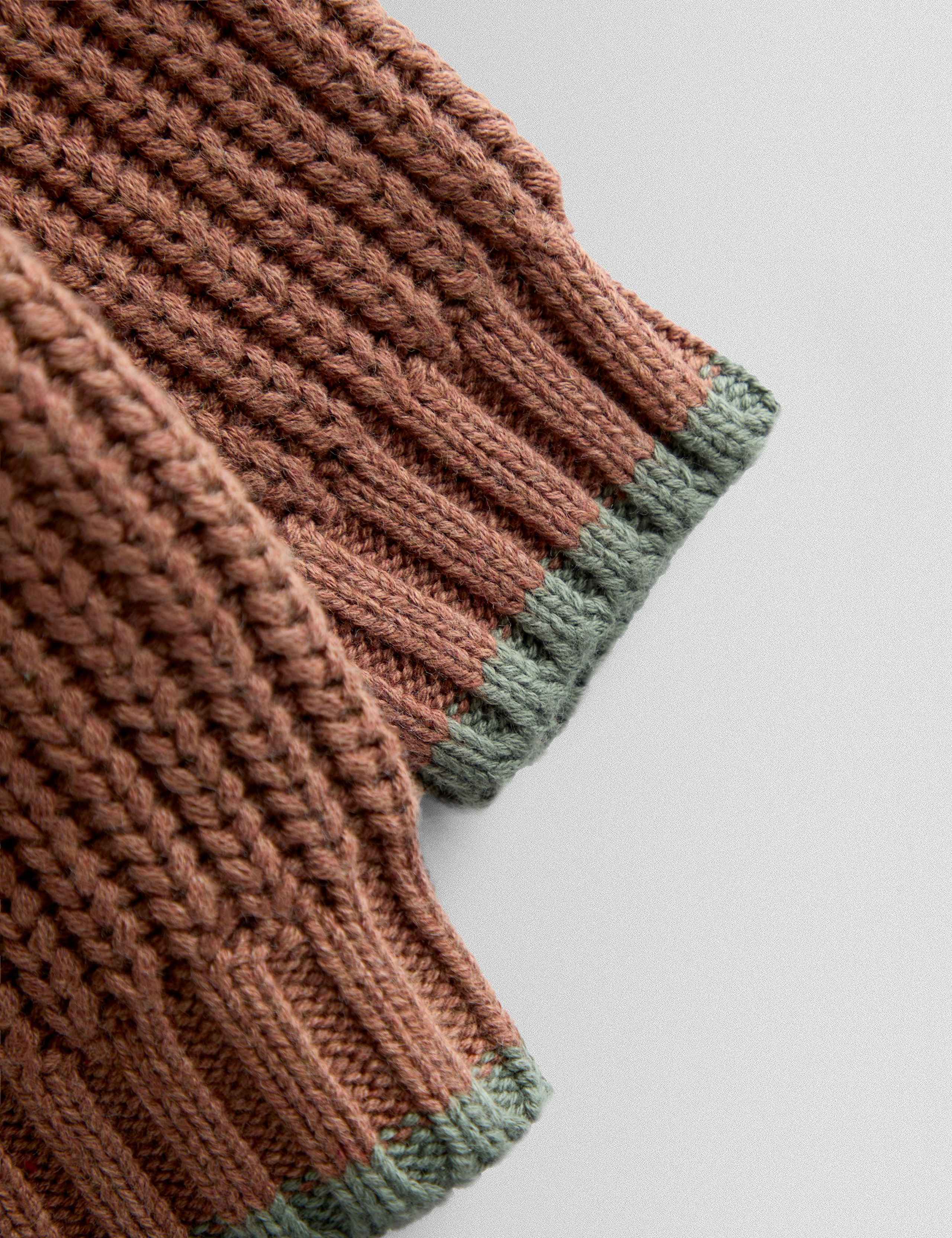 Pure Cotton Roar Slogan Jumper (3 Mths-6 Yrs) 4 of 4