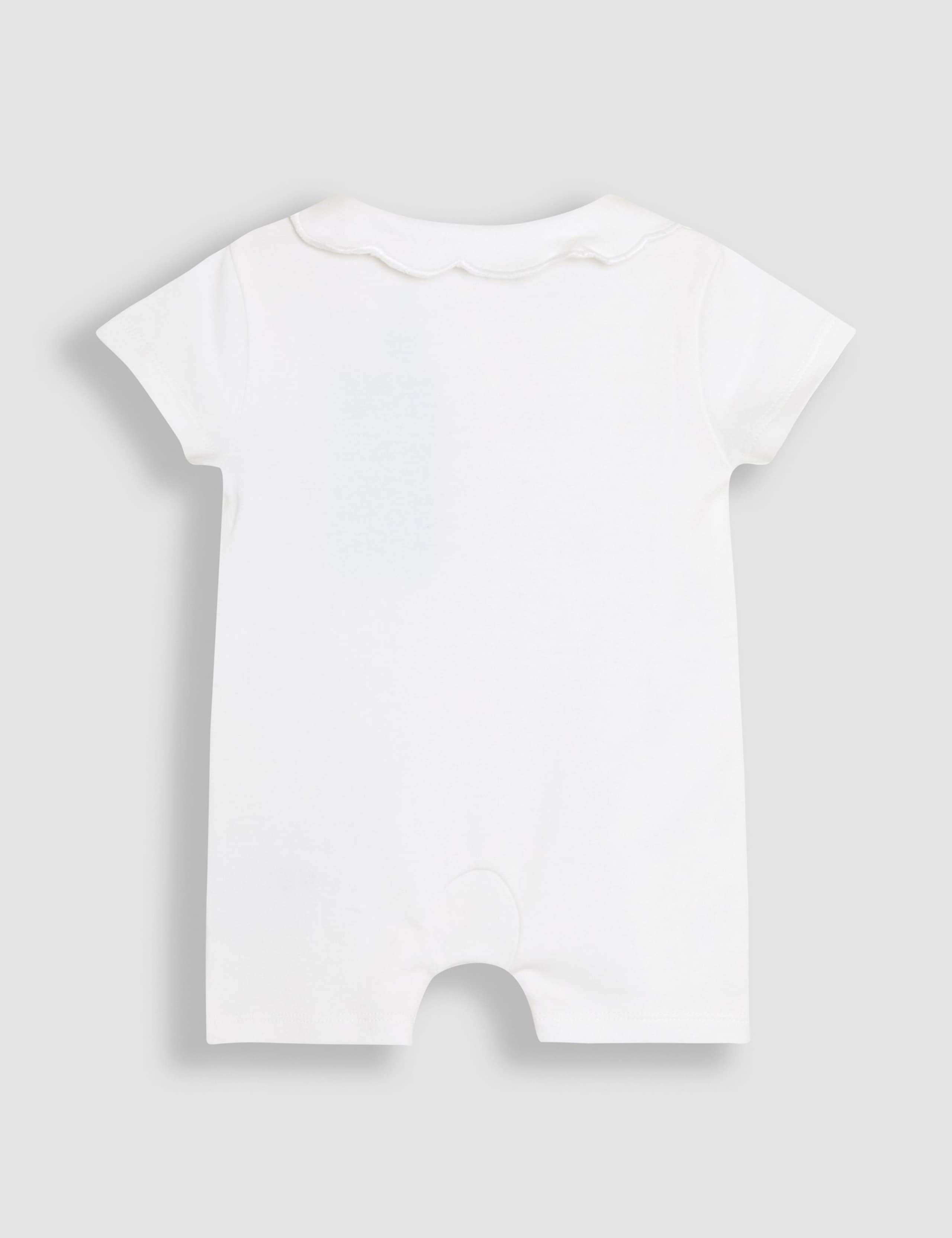 Pure Cotton Mouse Embroidered Sleepsuit (0-12 Mths) 3 of 4